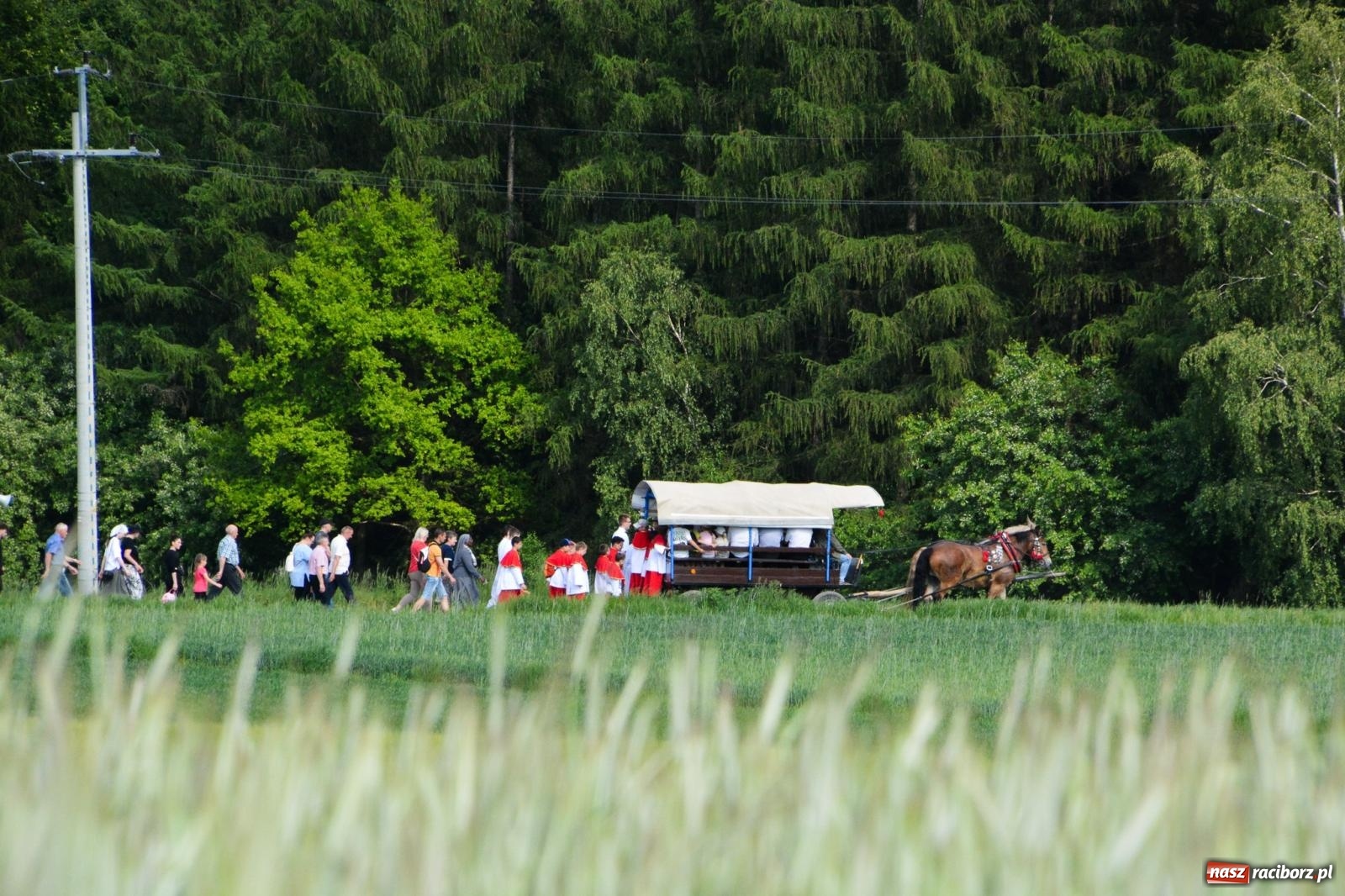 Zdjęcie w galerii na portalu naszraciborz.pl: Procesja na św. Urbana w Brzeziu – tradycja i duchowa wartość [FOTO i WIDEO] wiadomości z regionu