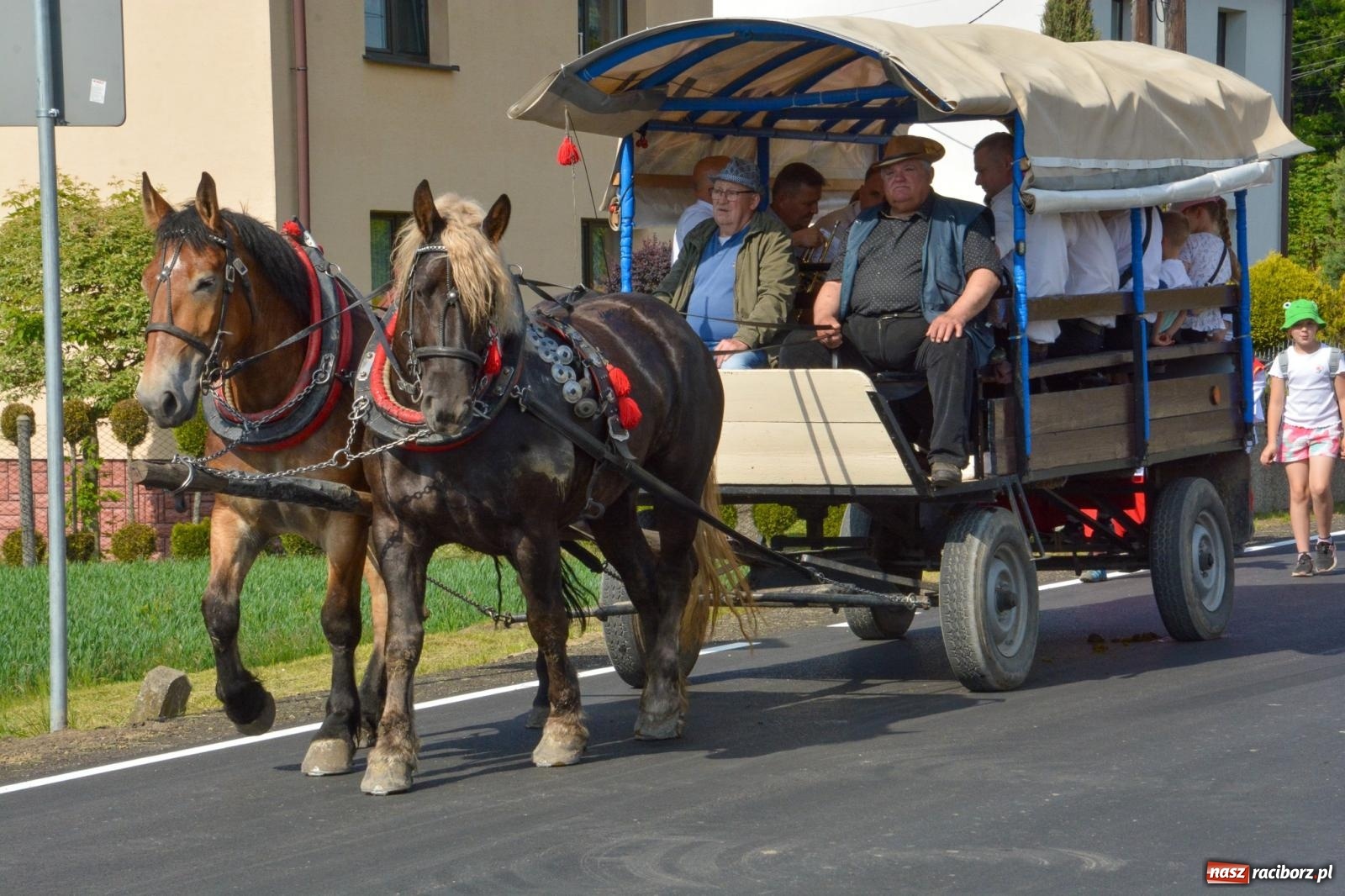 Zdjęcie w galerii na portalu naszraciborz.pl: Procesja na św. Urbana w Brzeziu – tradycja i duchowa wartość [FOTO i WIDEO] wiadomości z regionu