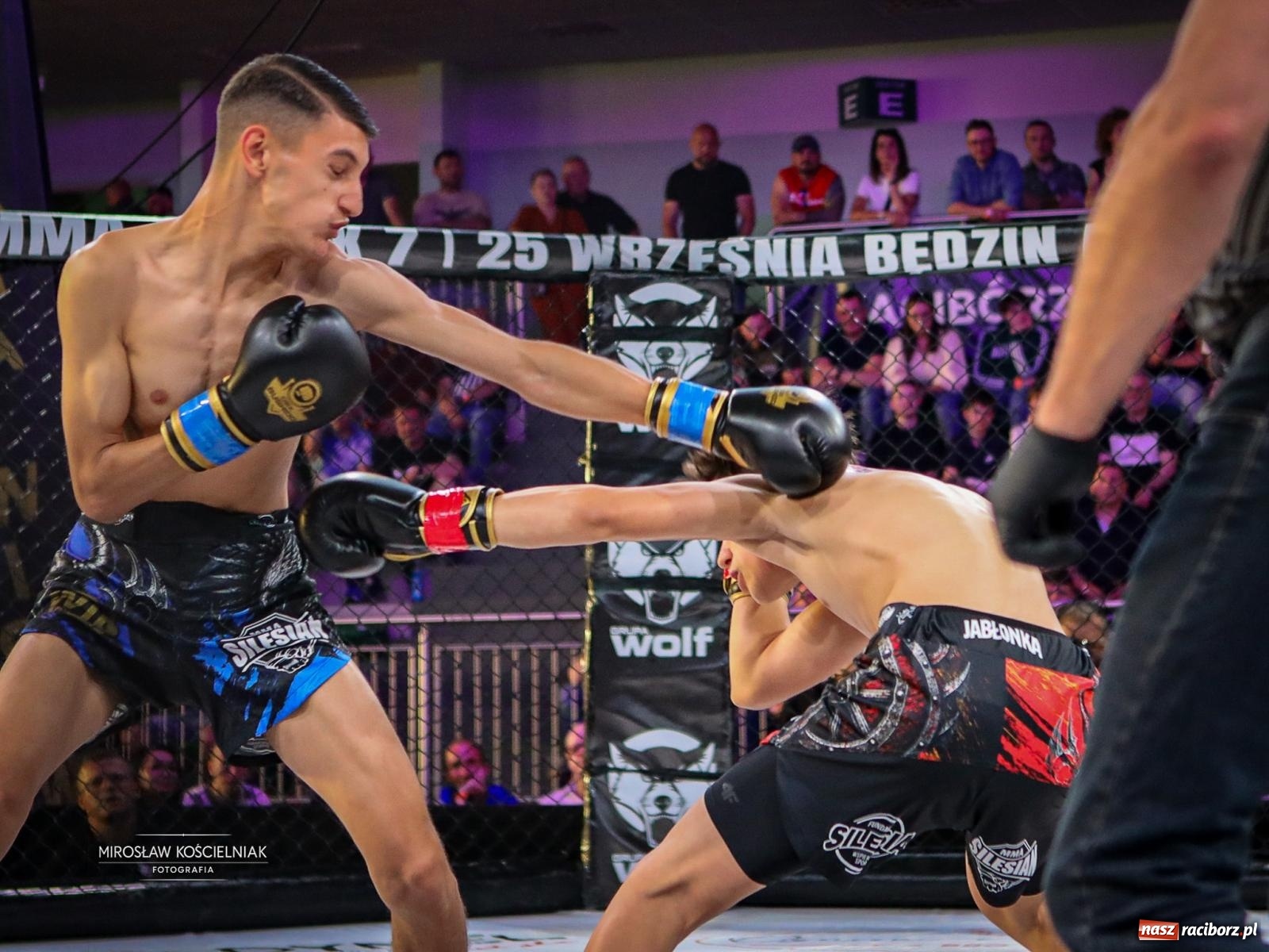 Zdjęcie w galerii na portalu naszraciborz.pl: Silesian MMA 26 i Walcz i Pomagaj 16 przyciągnęły tłumy. Rafako Arena wypełniła się do ostatniego miejsca wiadomości z regionu