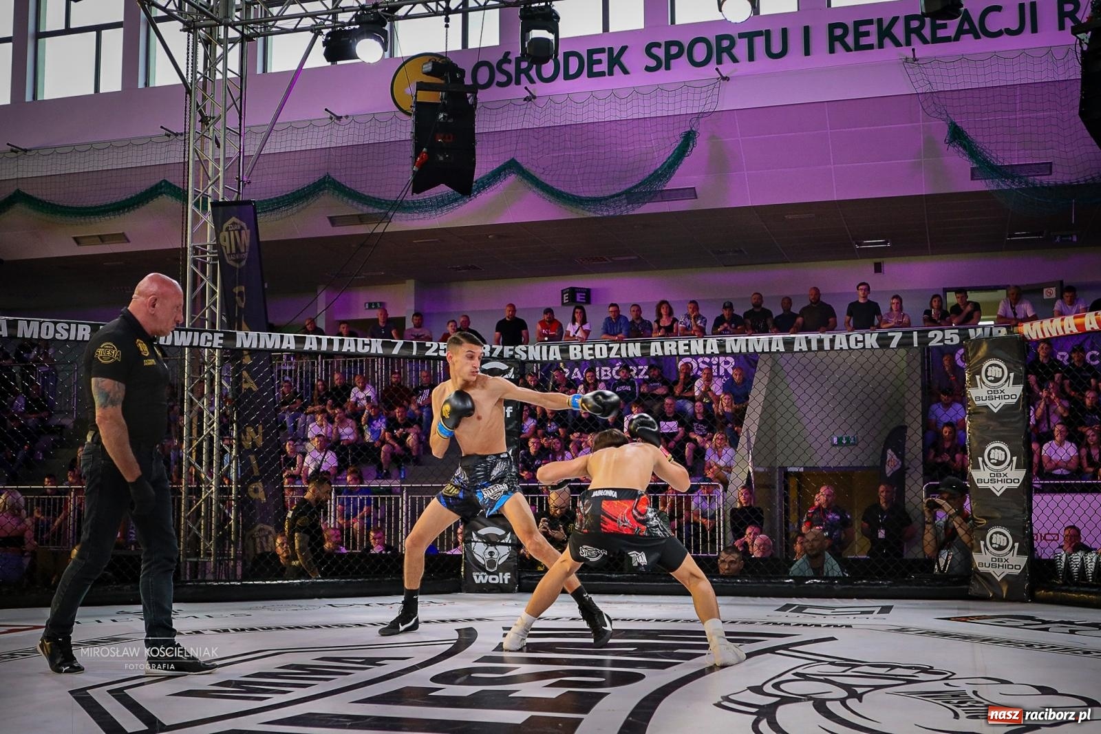 Zdjęcie w galerii na portalu naszraciborz.pl: Silesian MMA 26 i Walcz i Pomagaj 16 przyciągnęły tłumy. Rafako Arena wypełniła się do ostatniego miejsca wiadomości z regionu