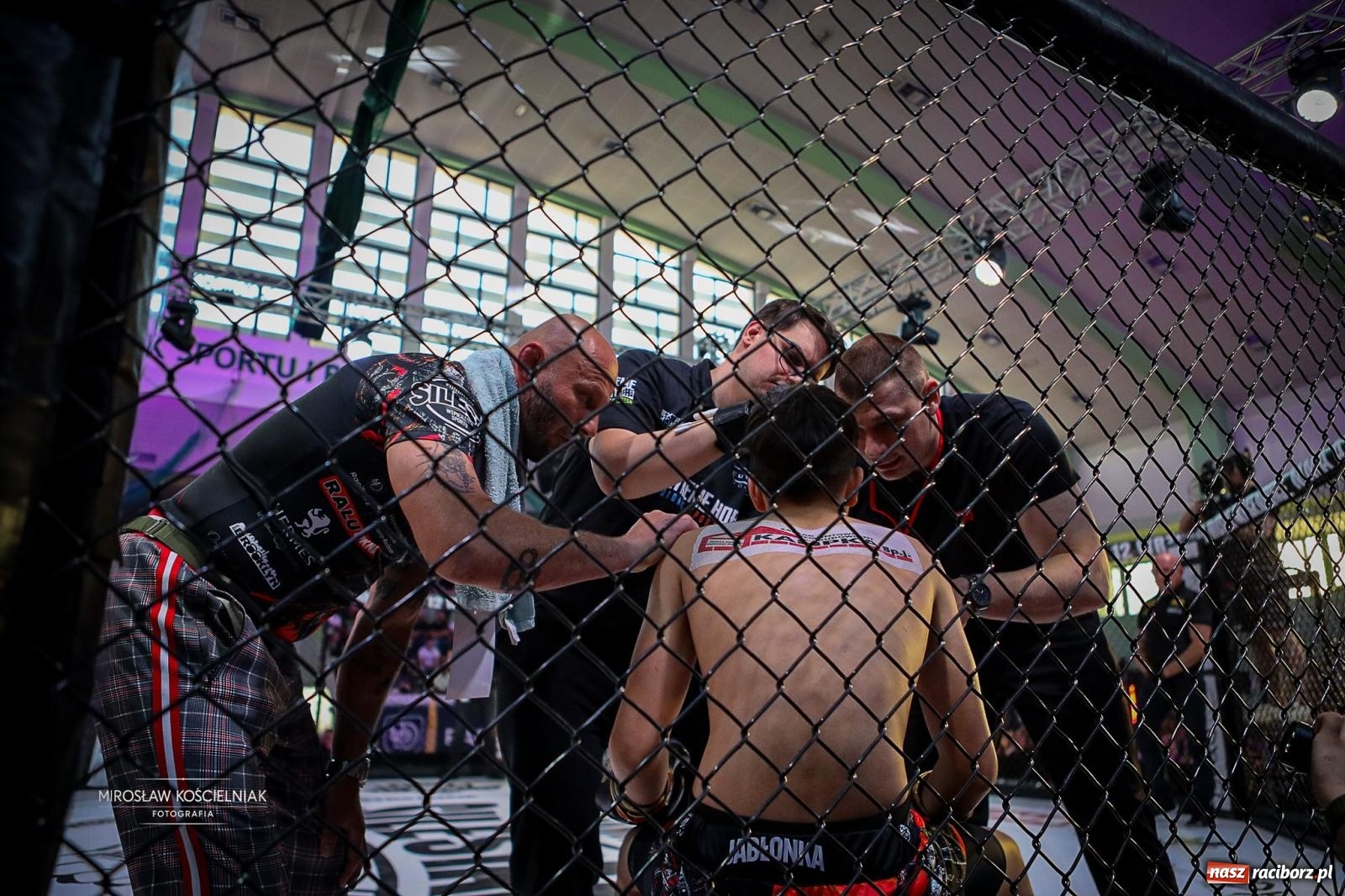 Zdjęcie w galerii na portalu naszraciborz.pl: Silesian MMA 26 i Walcz i Pomagaj 16 przyciągnęły tłumy. Rafako Arena wypełniła się do ostatniego miejsca wiadomości z regionu