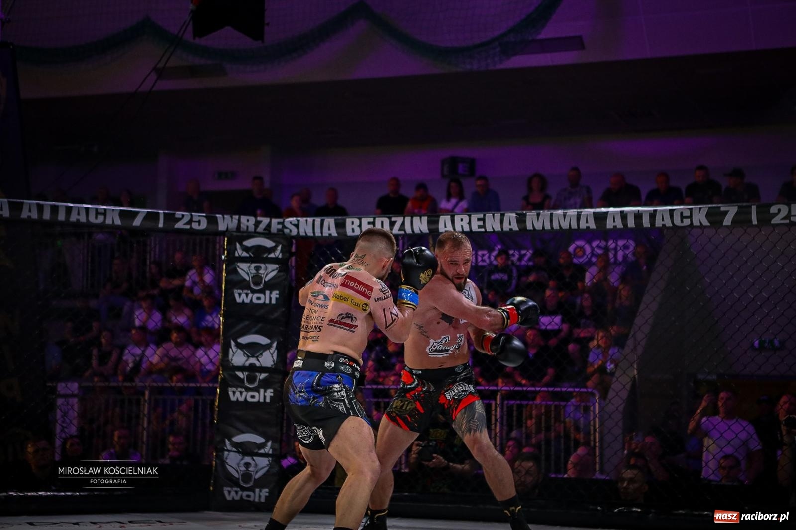 Zdjęcie w galerii na portalu naszraciborz.pl: Silesian MMA 26 i Walcz i Pomagaj 16 przyciągnęły tłumy. Rafako Arena wypełniła się do ostatniego miejsca wiadomości z regionu