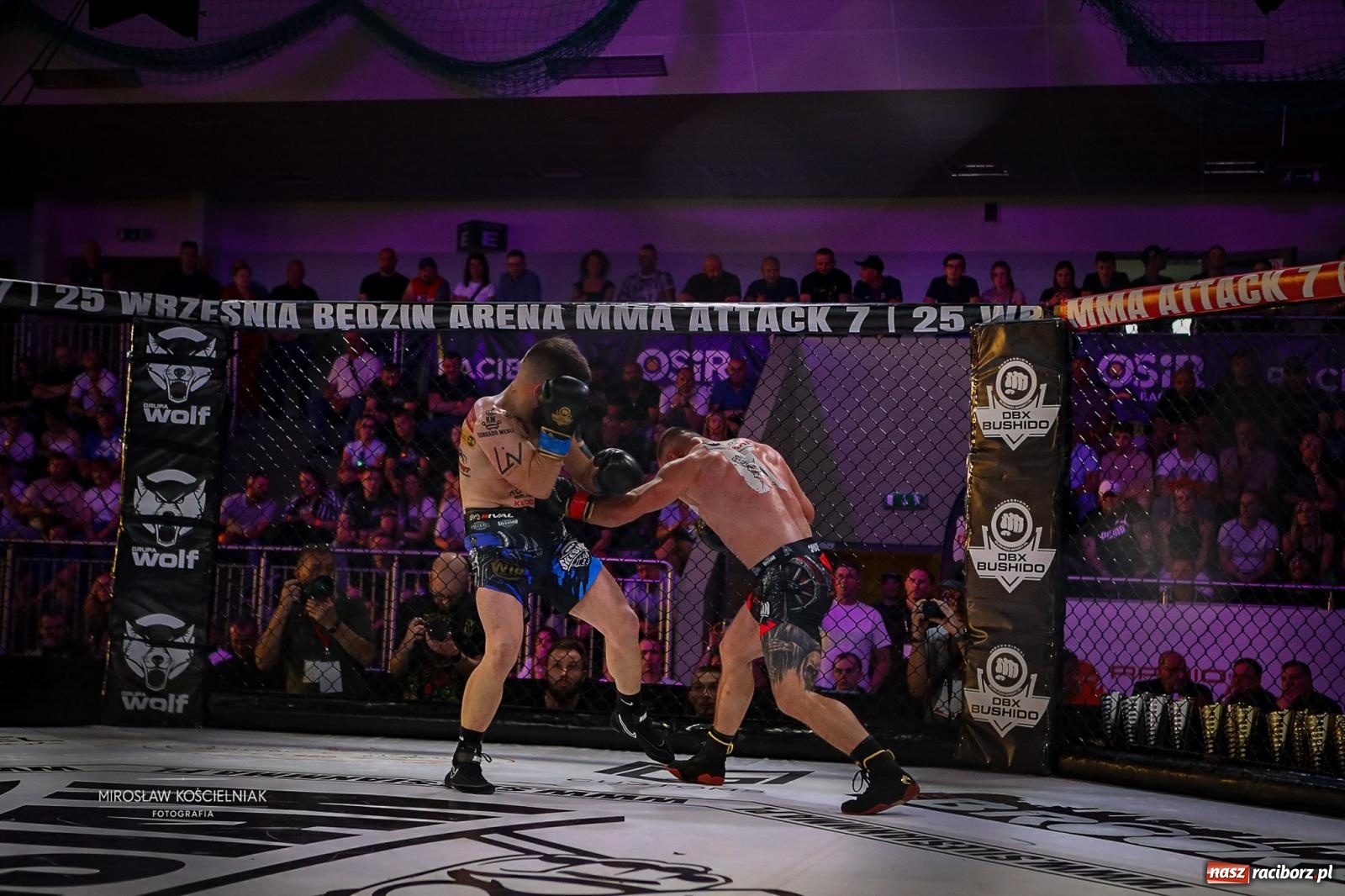 Zdjęcie w galerii na portalu naszraciborz.pl: Silesian MMA 26 i Walcz i Pomagaj 16 przyciągnęły tłumy. Rafako Arena wypełniła się do ostatniego miejsca wiadomości z regionu