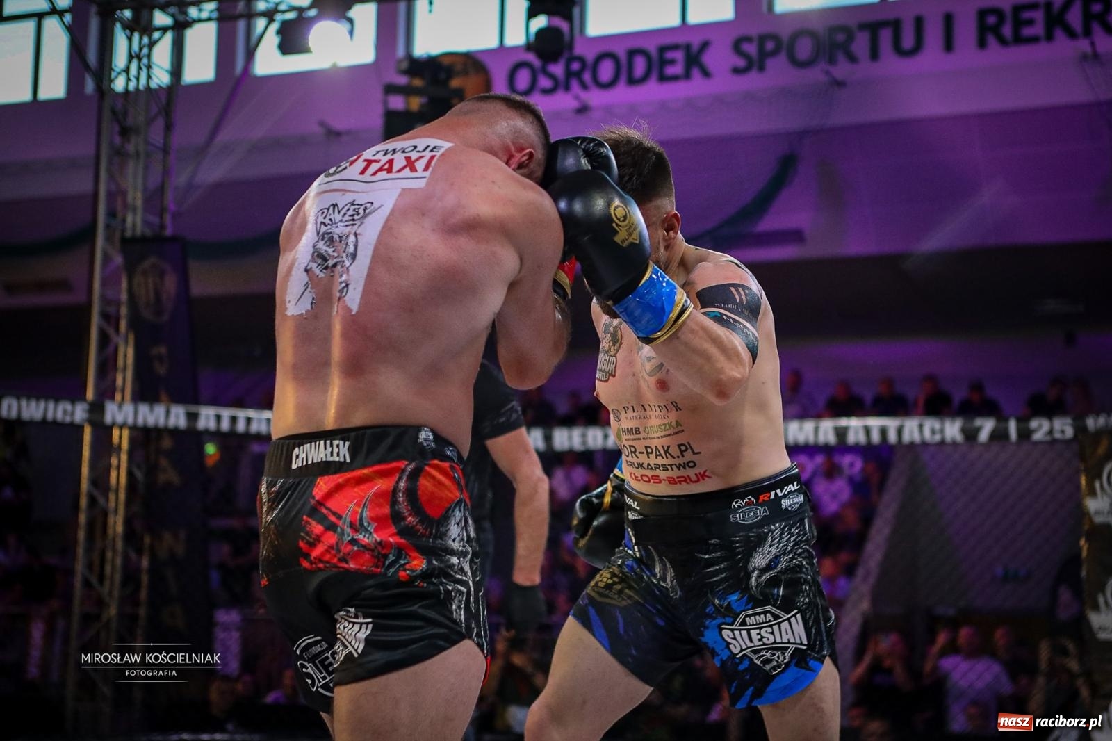 Zdjęcie w galerii na portalu naszraciborz.pl: Silesian MMA 26 i Walcz i Pomagaj 16 przyciągnęły tłumy. Rafako Arena wypełniła się do ostatniego miejsca wiadomości z regionu