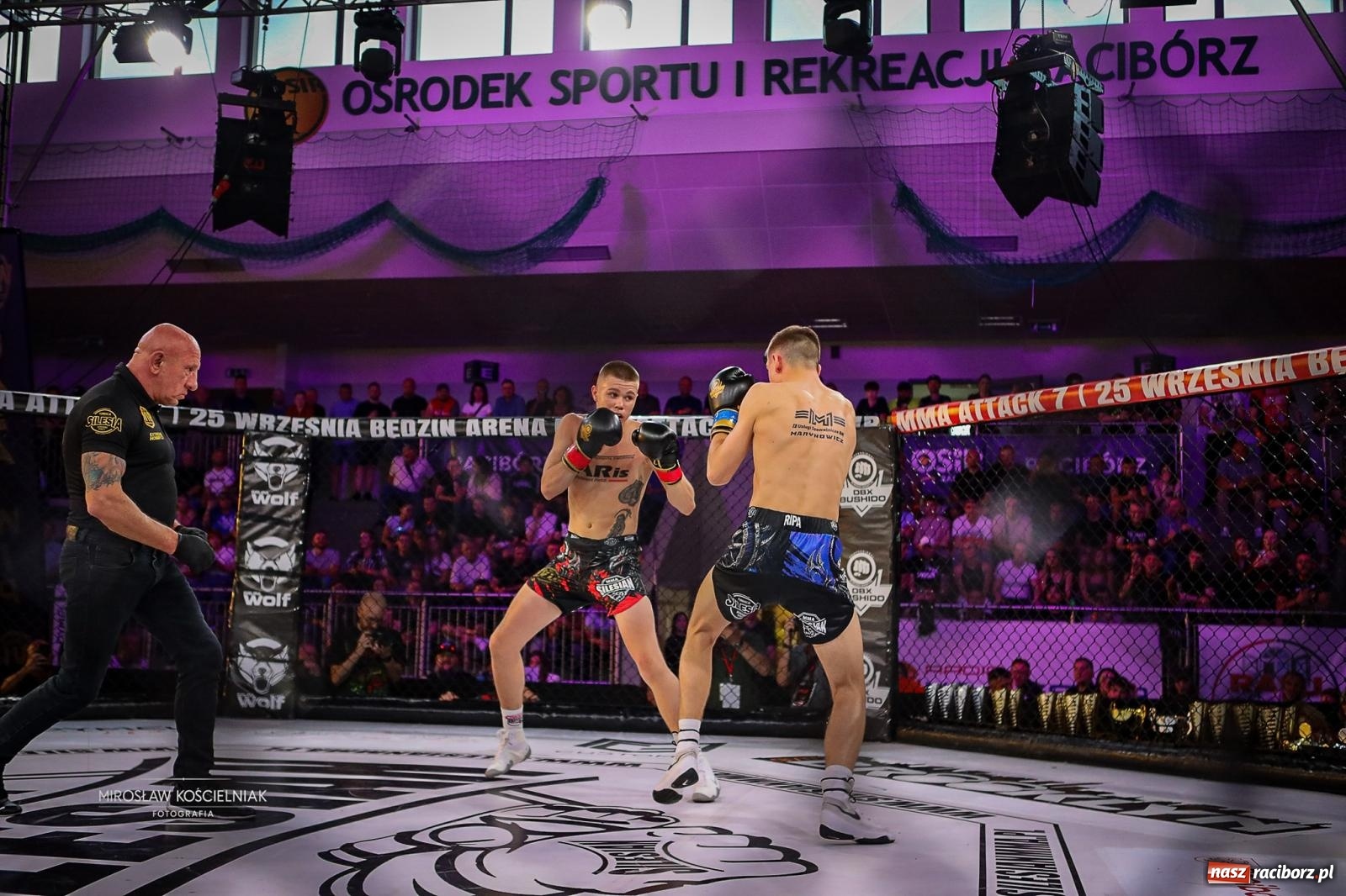 Zdjęcie w galerii na portalu naszraciborz.pl: Silesian MMA 26 i Walcz i Pomagaj 16 przyciągnęły tłumy. Rafako Arena wypełniła się do ostatniego miejsca wiadomości z regionu