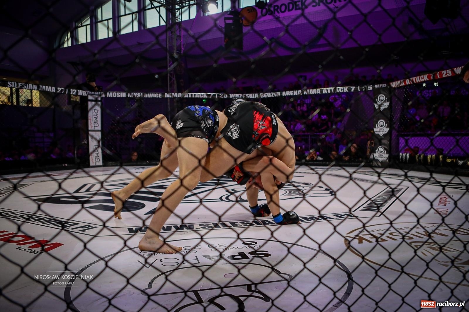 Zdjęcie w galerii na portalu naszraciborz.pl: Silesian MMA 26 i Walcz i Pomagaj 16 przyciągnęły tłumy. Rafako Arena wypełniła się do ostatniego miejsca wiadomości z regionu