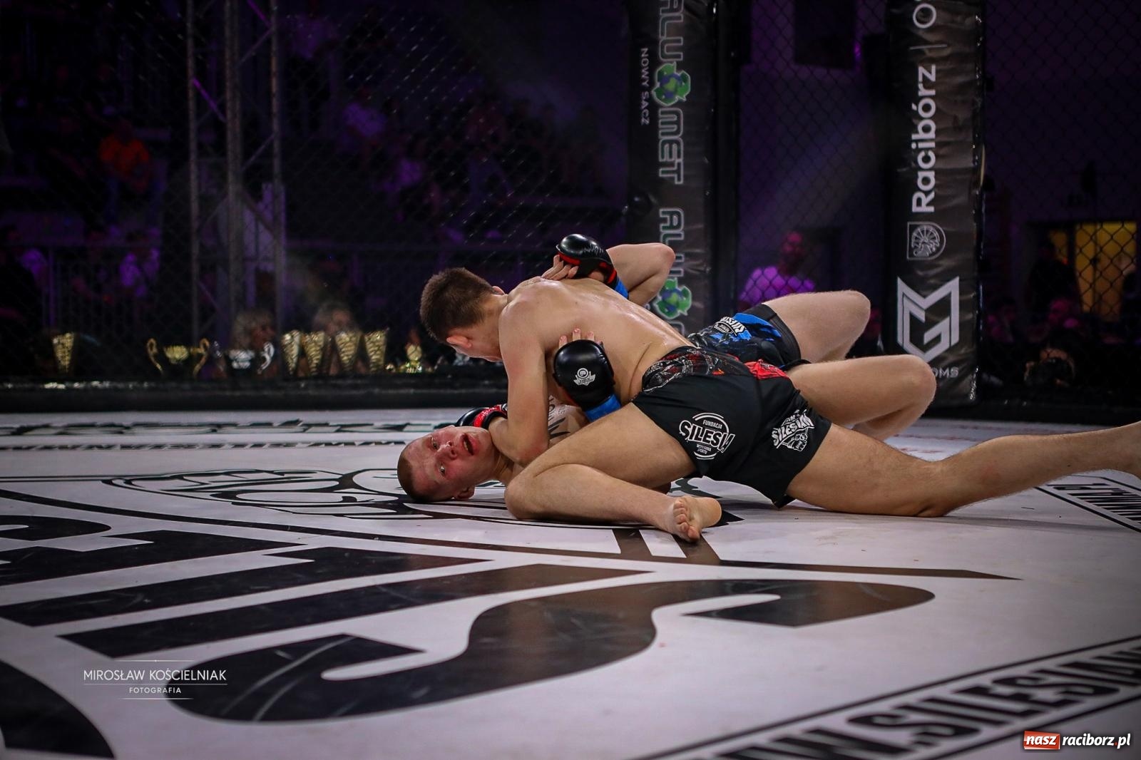 Zdjęcie w galerii na portalu naszraciborz.pl: Silesian MMA 26 i Walcz i Pomagaj 16 przyciągnęły tłumy. Rafako Arena wypełniła się do ostatniego miejsca wiadomości z regionu