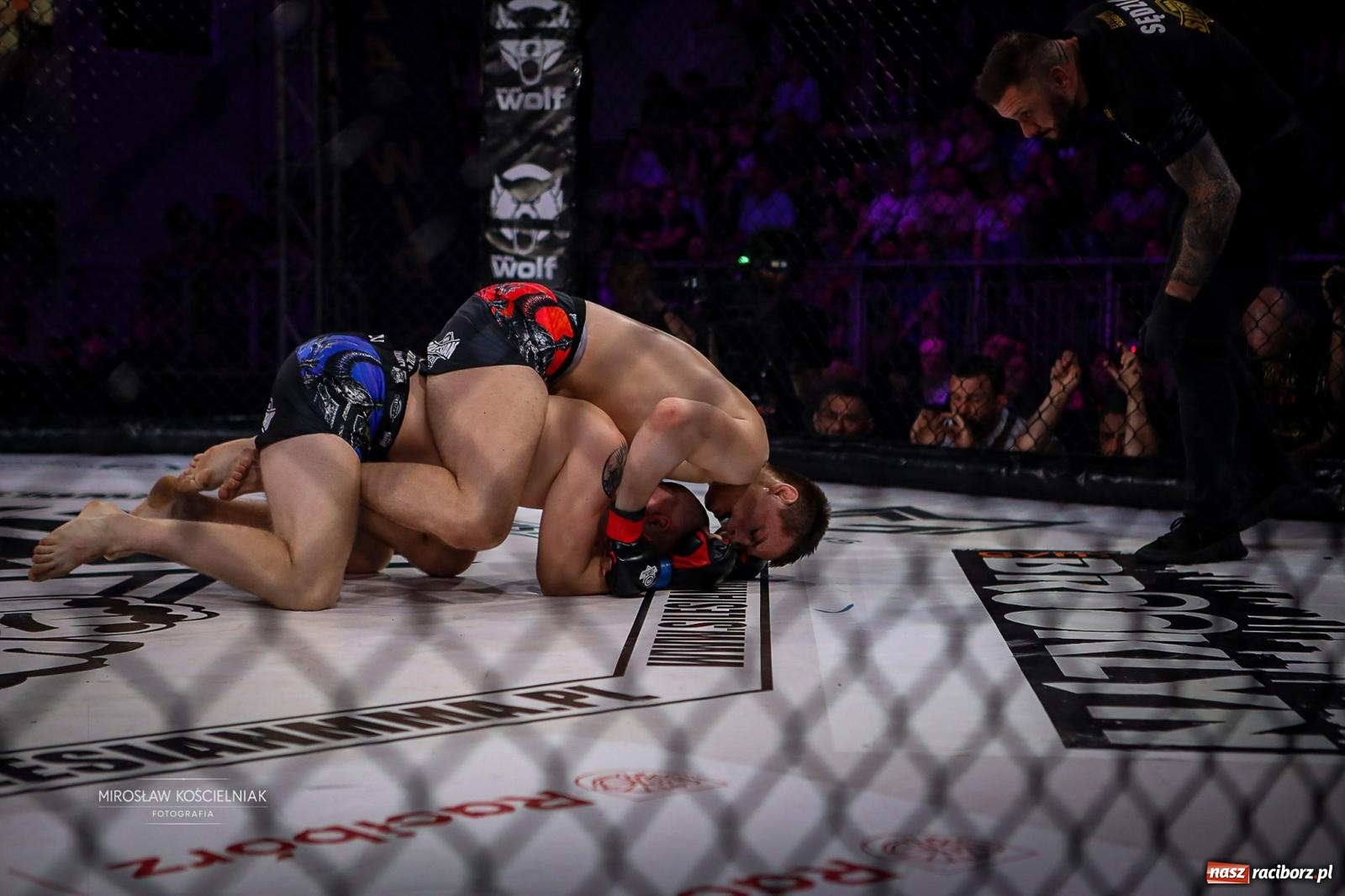 Zdjęcie w galerii na portalu naszraciborz.pl: Silesian MMA 26 i Walcz i Pomagaj 16 przyciągnęły tłumy. Rafako Arena wypełniła się do ostatniego miejsca wiadomości z regionu