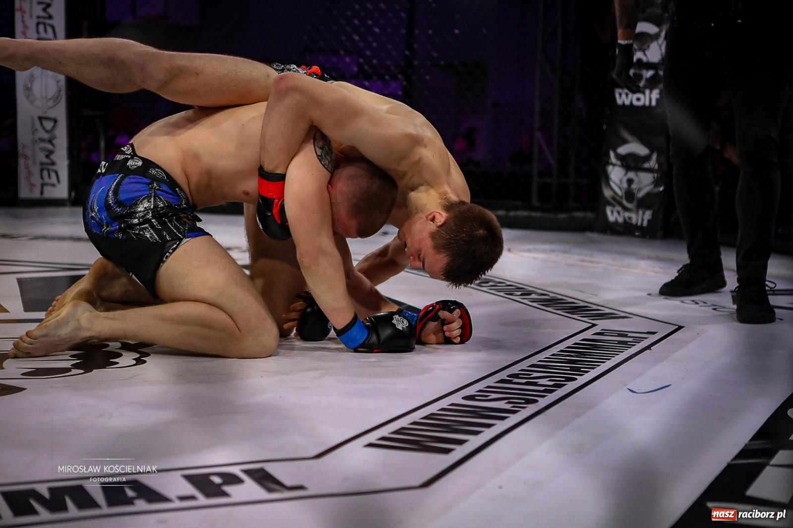 Zdjęcie w galerii na portalu naszraciborz.pl: Silesian MMA 26 i Walcz i Pomagaj 16 przyciągnęły tłumy. Rafako Arena wypełniła się do ostatniego miejsca wiadomości z regionu
