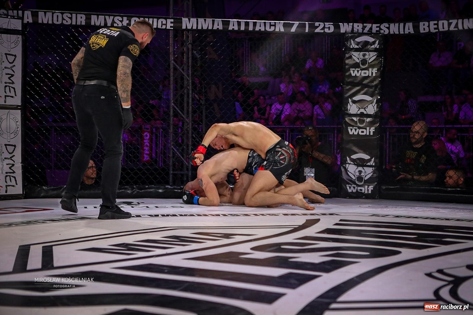 Zdjęcie w galerii na portalu naszraciborz.pl: Silesian MMA 26 i Walcz i Pomagaj 16 przyciągnęły tłumy. Rafako Arena wypełniła się do ostatniego miejsca wiadomości z regionu