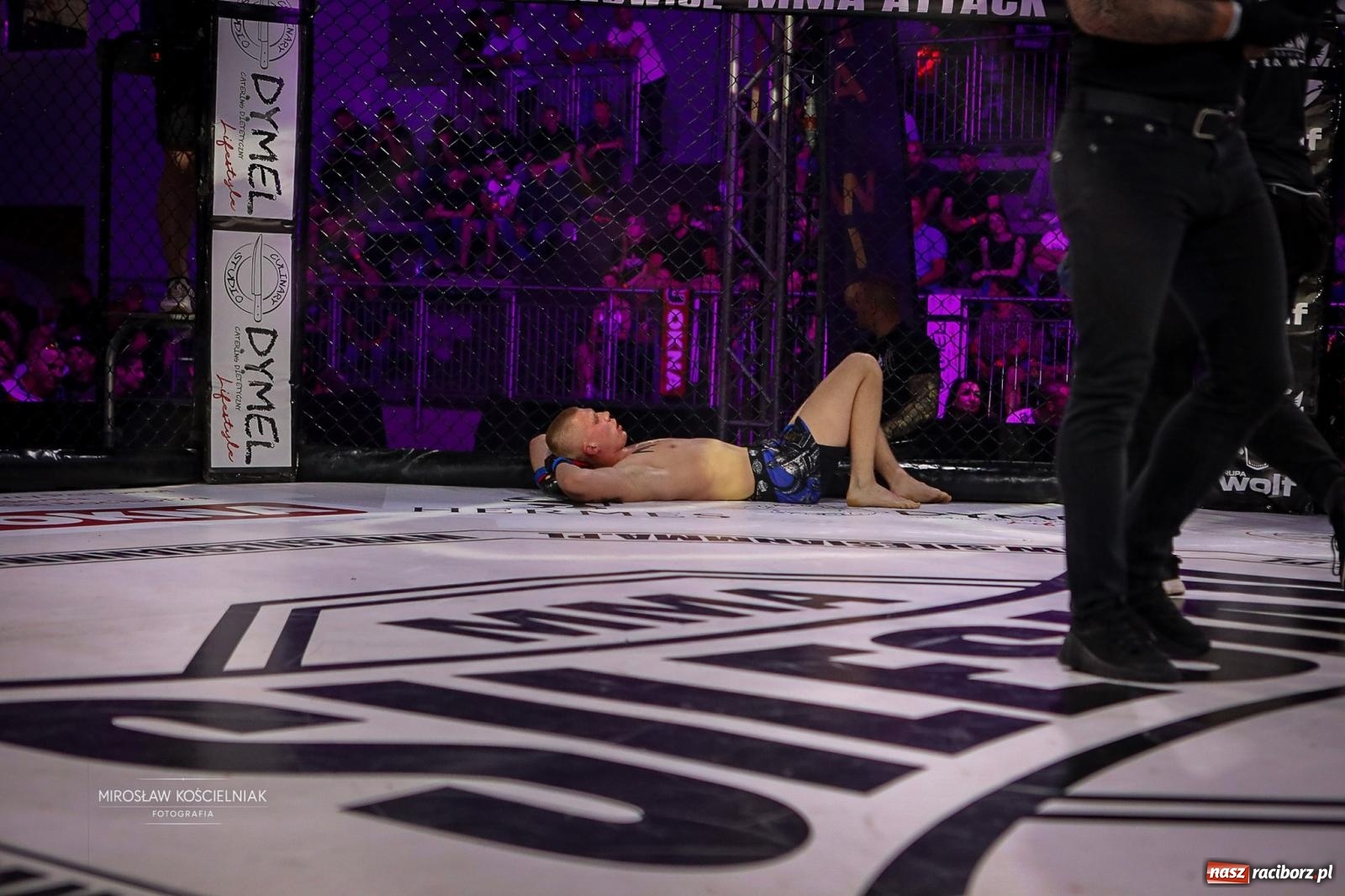 Zdjęcie w galerii na portalu naszraciborz.pl: Silesian MMA 26 i Walcz i Pomagaj 16 przyciągnęły tłumy. Rafako Arena wypełniła się do ostatniego miejsca wiadomości z regionu