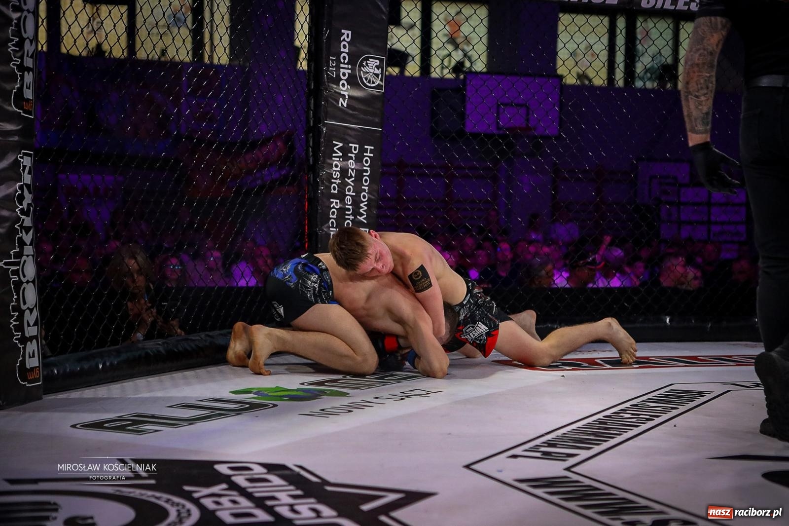 Zdjęcie w galerii na portalu naszraciborz.pl: Silesian MMA 26 i Walcz i Pomagaj 16 przyciągnęły tłumy. Rafako Arena wypełniła się do ostatniego miejsca wiadomości z regionu