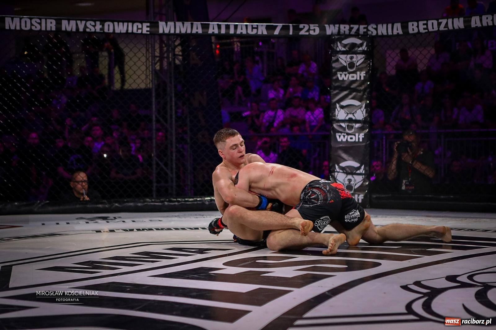 Zdjęcie w galerii na portalu naszraciborz.pl: Silesian MMA 26 i Walcz i Pomagaj 16 przyciągnęły tłumy. Rafako Arena wypełniła się do ostatniego miejsca wiadomości z regionu