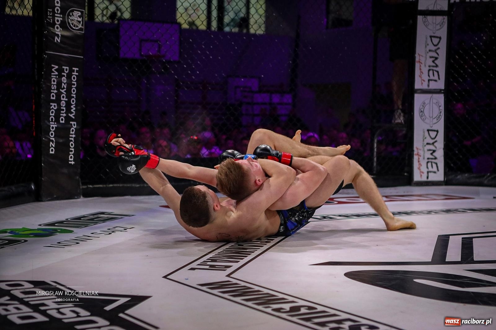 Zdjęcie w galerii na portalu naszraciborz.pl: Silesian MMA 26 i Walcz i Pomagaj 16 przyciągnęły tłumy. Rafako Arena wypełniła się do ostatniego miejsca wiadomości z regionu