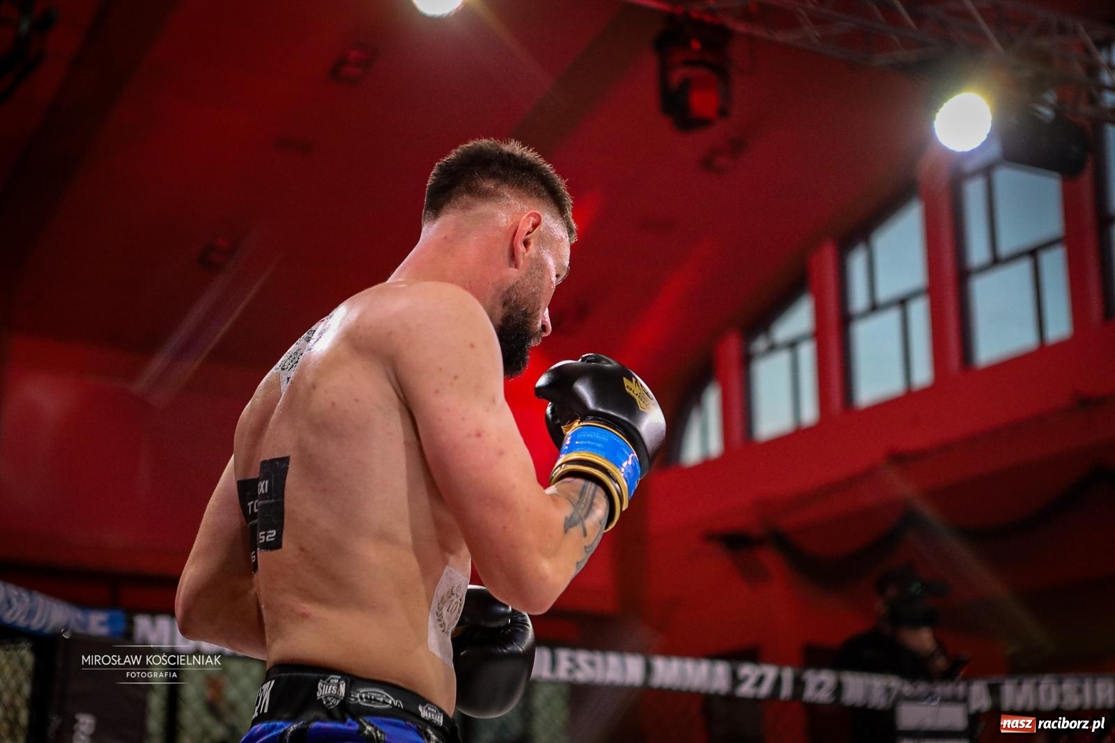 Zdjęcie w galerii na portalu naszraciborz.pl: Silesian MMA 26 i Walcz i Pomagaj 16 przyciągnęły tłumy. Rafako Arena wypełniła się do ostatniego miejsca wiadomości z regionu