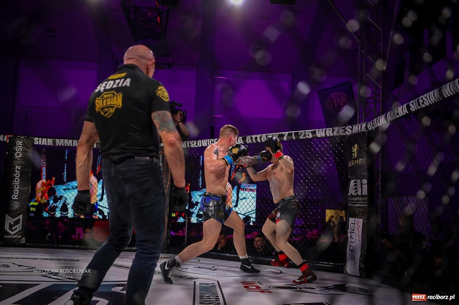 Zdjęcie w galerii na portalu naszraciborz.pl: Silesian MMA 26 i Walcz i Pomagaj 16 przyciągnęły tłumy. Rafako Arena wypełniła się do ostatniego miejsca wiadomości z regionu