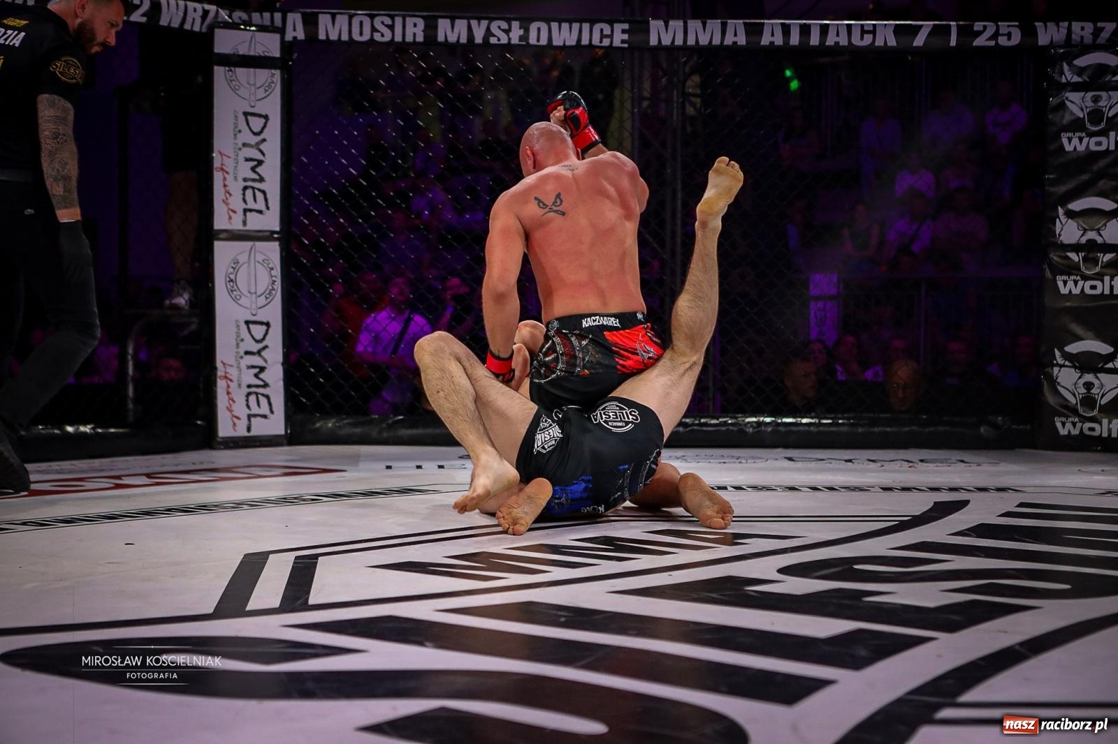Zdjęcie w galerii na portalu naszraciborz.pl: Silesian MMA 26 i Walcz i Pomagaj 16 przyciągnęły tłumy. Rafako Arena wypełniła się do ostatniego miejsca wiadomości z regionu