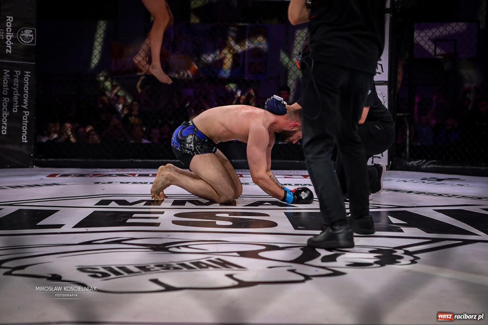 Zdjęcie w galerii na portalu naszraciborz.pl: Silesian MMA 26 i Walcz i Pomagaj 16 przyciągnęły tłumy. Rafako Arena wypełniła się do ostatniego miejsca wiadomości z regionu