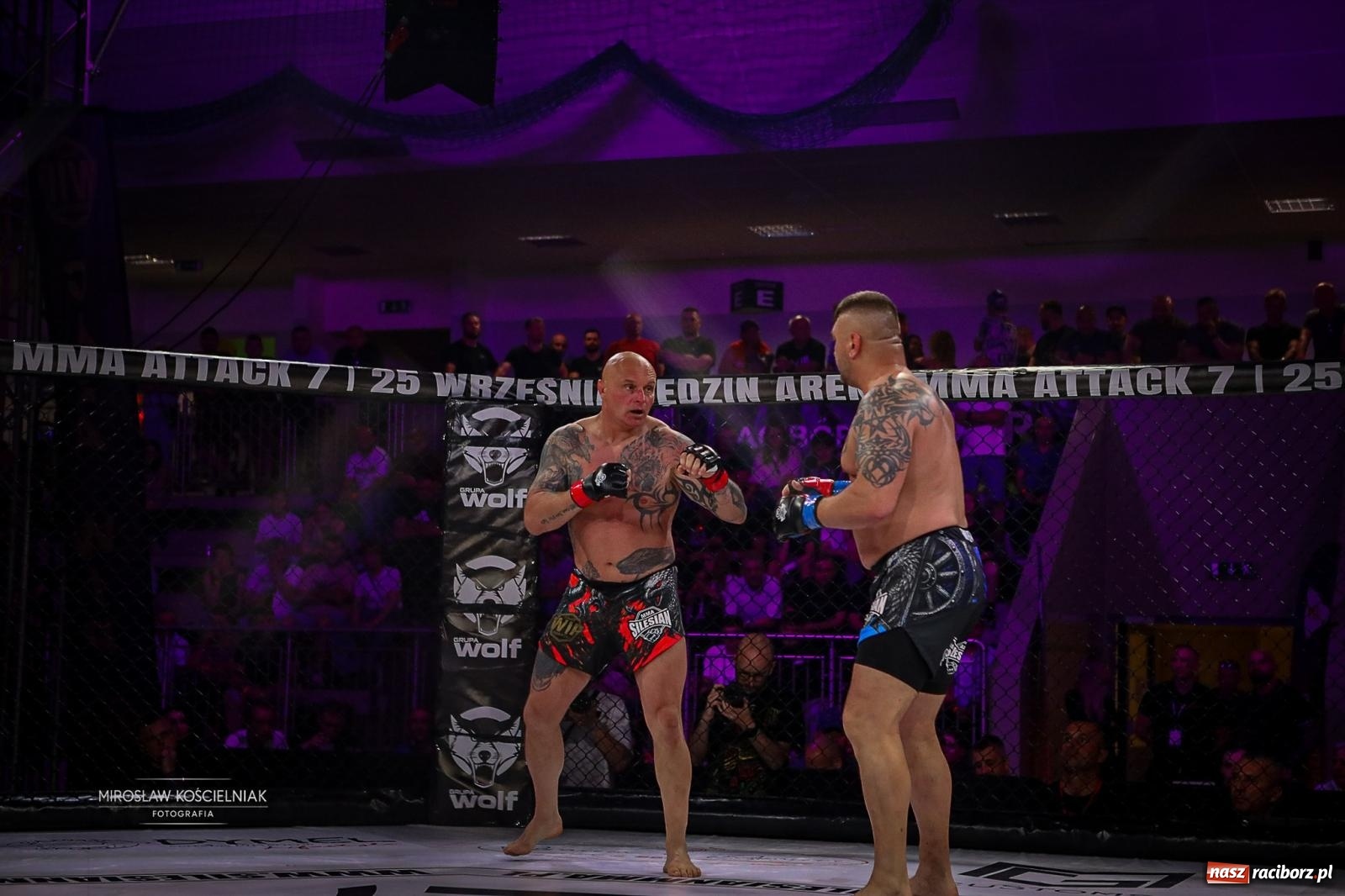 Zdjęcie w galerii na portalu naszraciborz.pl: Silesian MMA 26 i Walcz i Pomagaj 16 przyciągnęły tłumy. Rafako Arena wypełniła się do ostatniego miejsca wiadomości z regionu