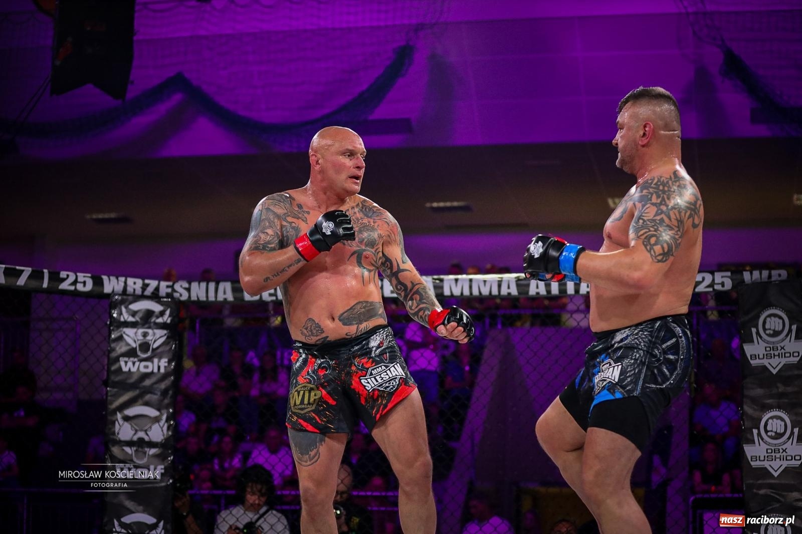 Zdjęcie w galerii na portalu naszraciborz.pl: Silesian MMA 26 i Walcz i Pomagaj 16 przyciągnęły tłumy. Rafako Arena wypełniła się do ostatniego miejsca wiadomości z regionu