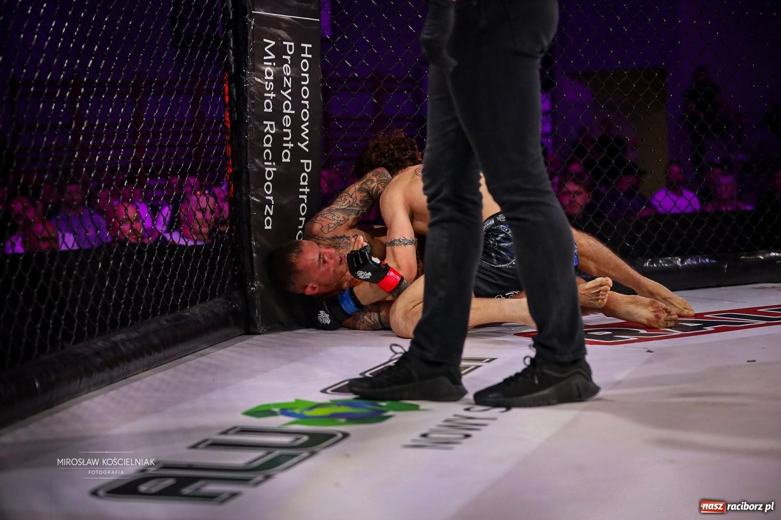 Zdjęcie w galerii na portalu naszraciborz.pl: Silesian MMA 26 i Walcz i Pomagaj 16 przyciągnęły tłumy. Rafako Arena wypełniła się do ostatniego miejsca wiadomości z regionu