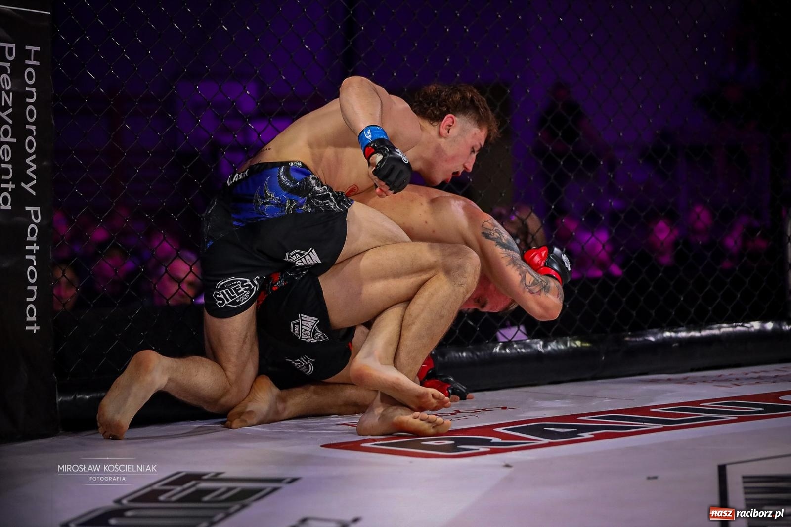 Zdjęcie w galerii na portalu naszraciborz.pl: Silesian MMA 26 i Walcz i Pomagaj 16 przyciągnęły tłumy. Rafako Arena wypełniła się do ostatniego miejsca wiadomości z regionu