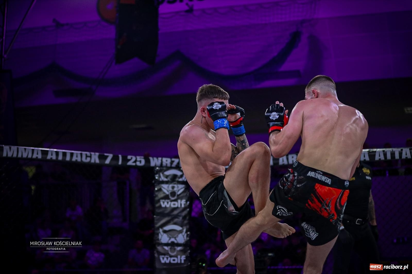 Zdjęcie w galerii na portalu naszraciborz.pl: Silesian MMA 26 i Walcz i Pomagaj 16 przyciągnęły tłumy. Rafako Arena wypełniła się do ostatniego miejsca wiadomości z regionu