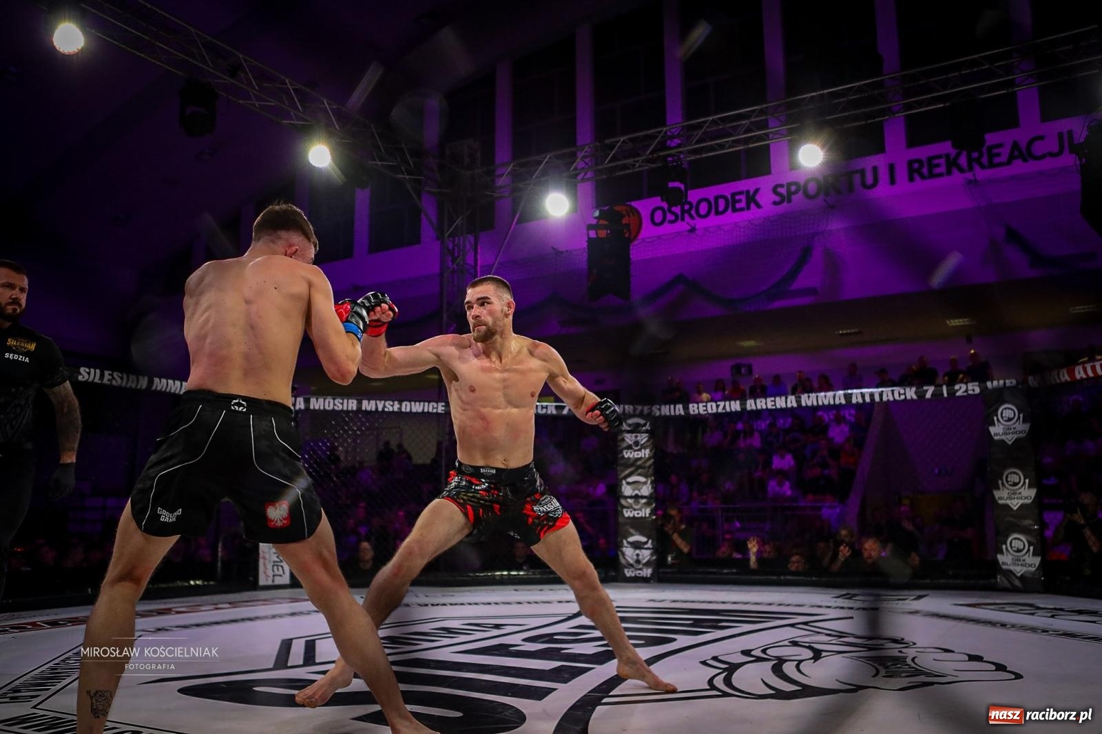 Zdjęcie w galerii na portalu naszraciborz.pl: Silesian MMA 26 i Walcz i Pomagaj 16 przyciągnęły tłumy. Rafako Arena wypełniła się do ostatniego miejsca wiadomości z regionu