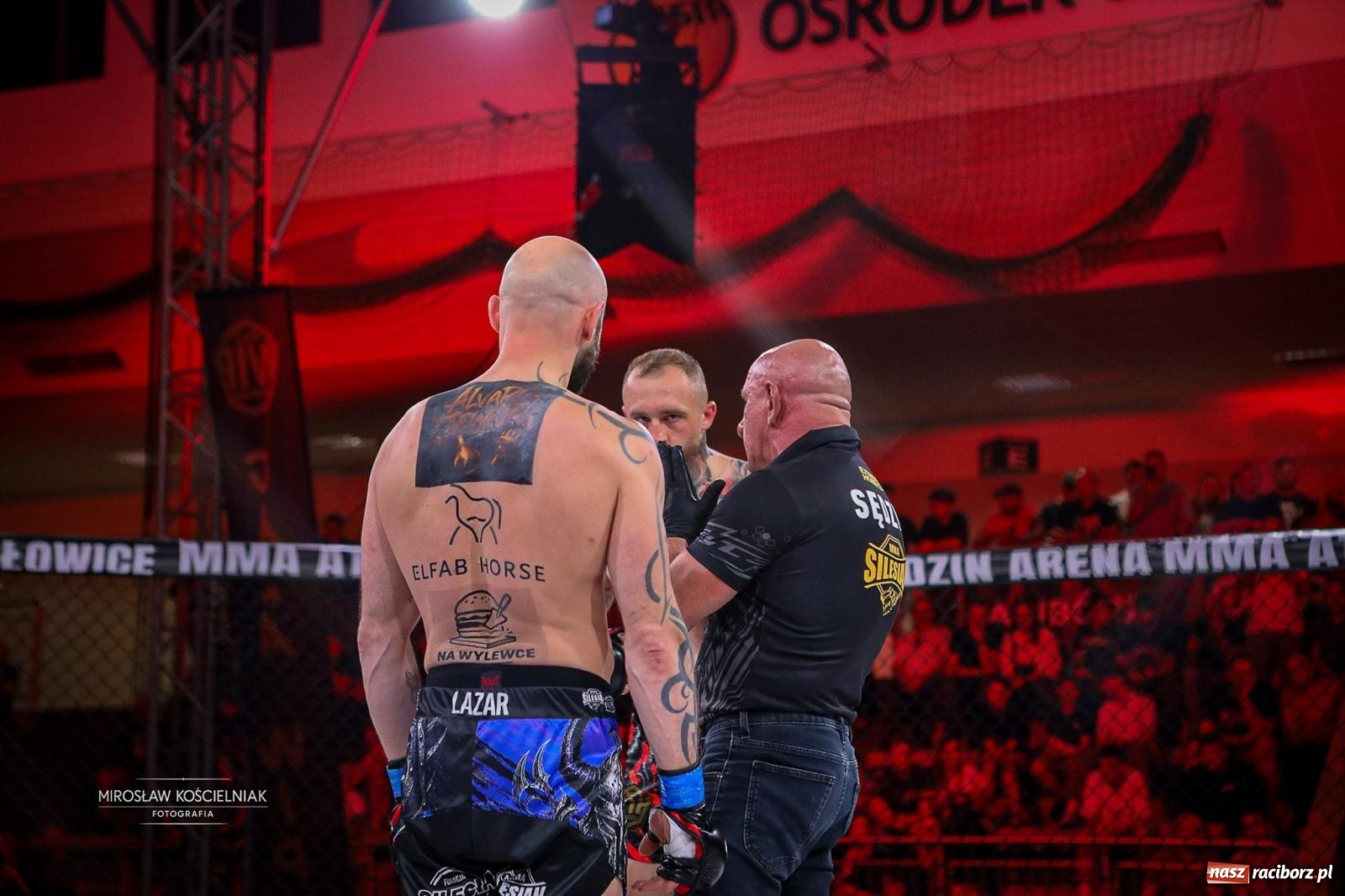 Zdjęcie w galerii na portalu naszraciborz.pl: Silesian MMA 26 i Walcz i Pomagaj 16 przyciągnęły tłumy. Rafako Arena wypełniła się do ostatniego miejsca wiadomości z regionu