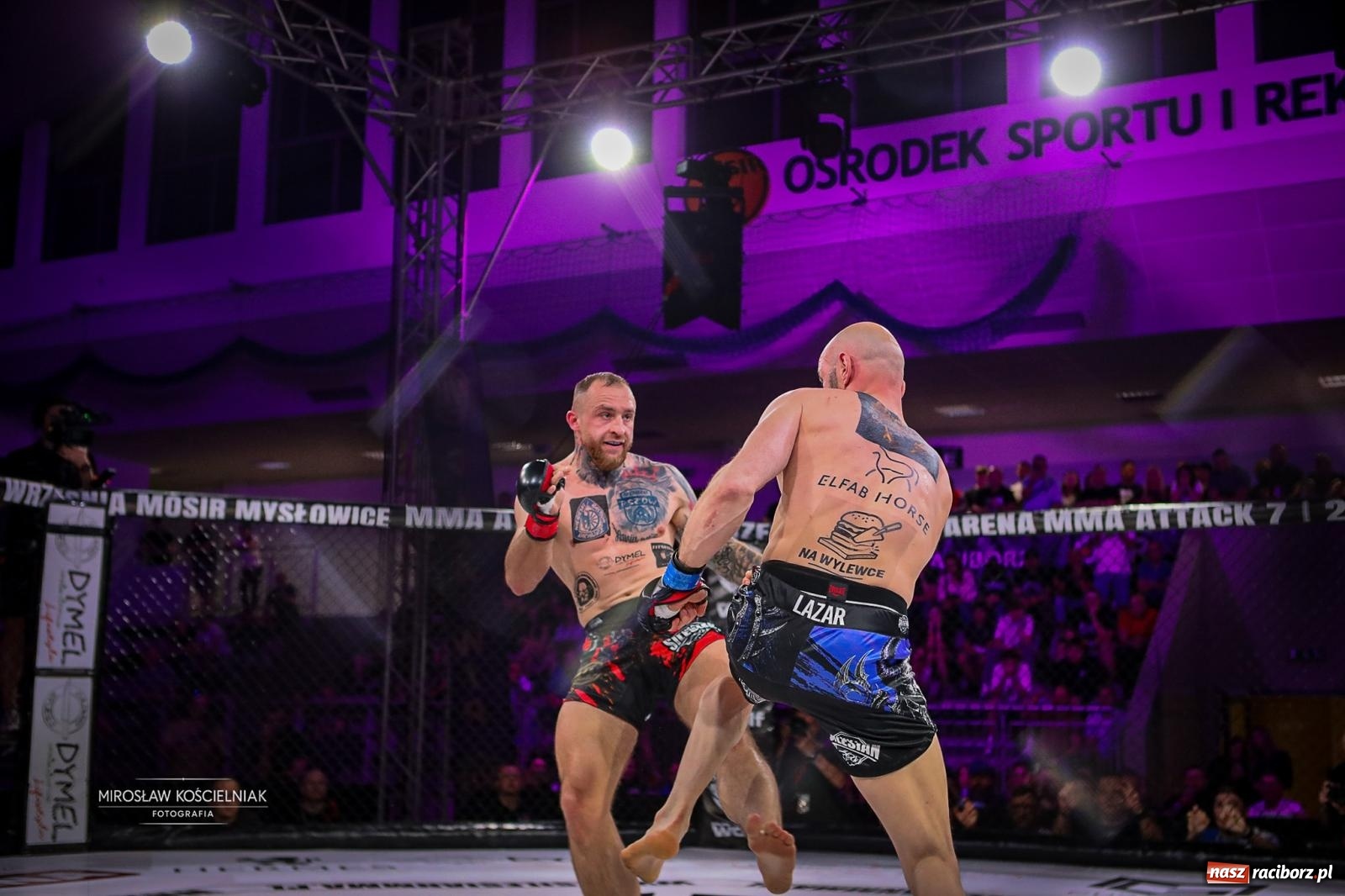 Zdjęcie w galerii na portalu naszraciborz.pl: Silesian MMA 26 i Walcz i Pomagaj 16 przyciągnęły tłumy. Rafako Arena wypełniła się do ostatniego miejsca wiadomości z regionu