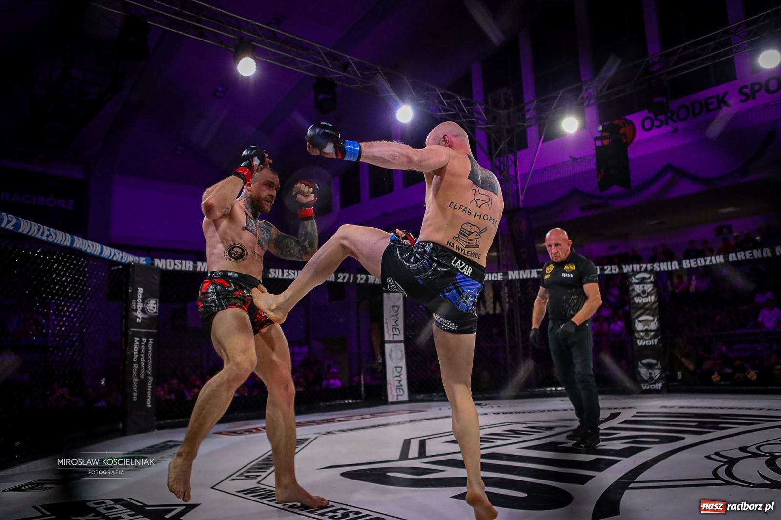 Zdjęcie w galerii na portalu naszraciborz.pl: Silesian MMA 26 i Walcz i Pomagaj 16 przyciągnęły tłumy. Rafako Arena wypełniła się do ostatniego miejsca wiadomości z regionu