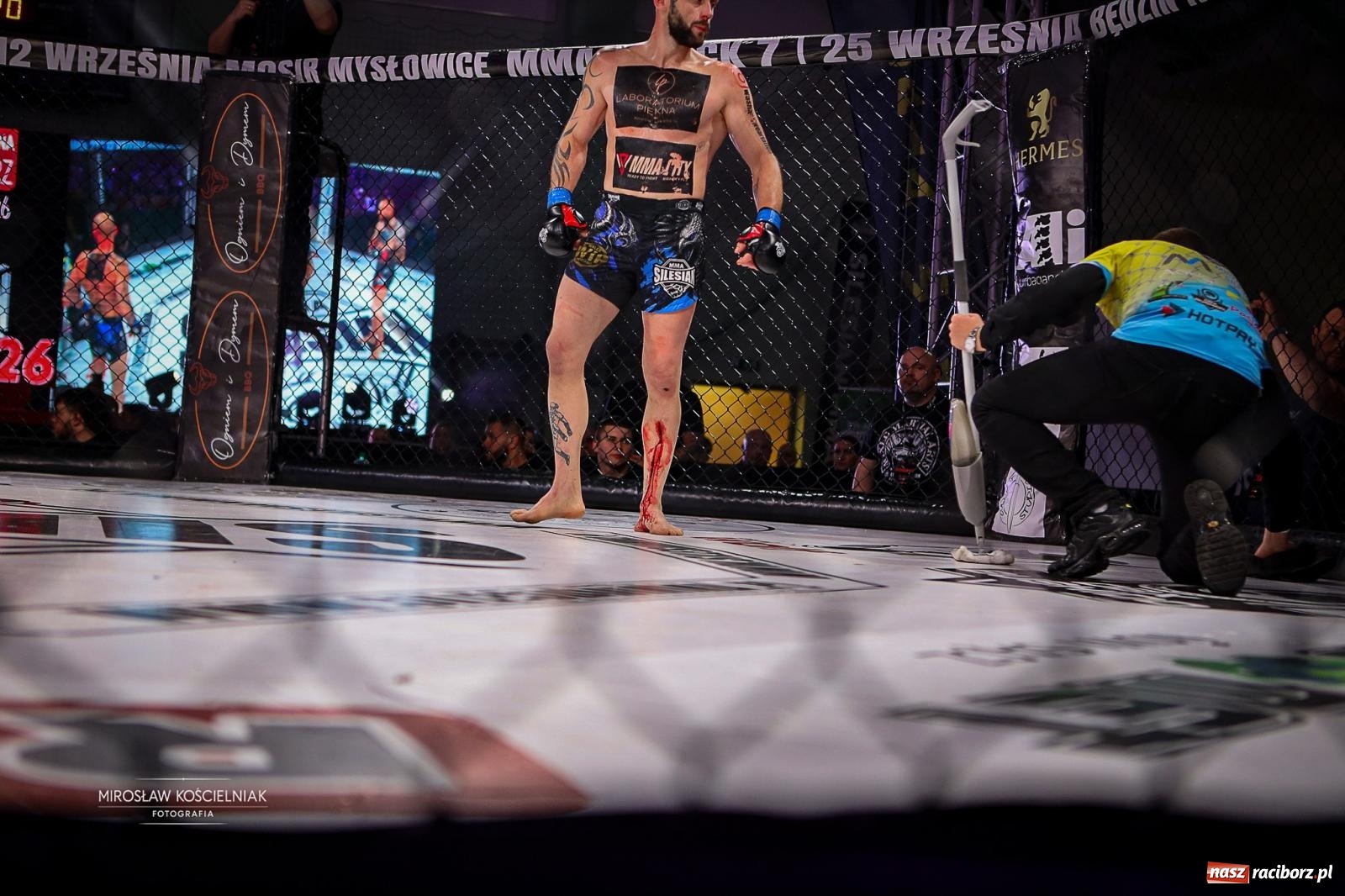 Zdjęcie w galerii na portalu naszraciborz.pl: Silesian MMA 26 i Walcz i Pomagaj 16 przyciągnęły tłumy. Rafako Arena wypełniła się do ostatniego miejsca wiadomości z regionu