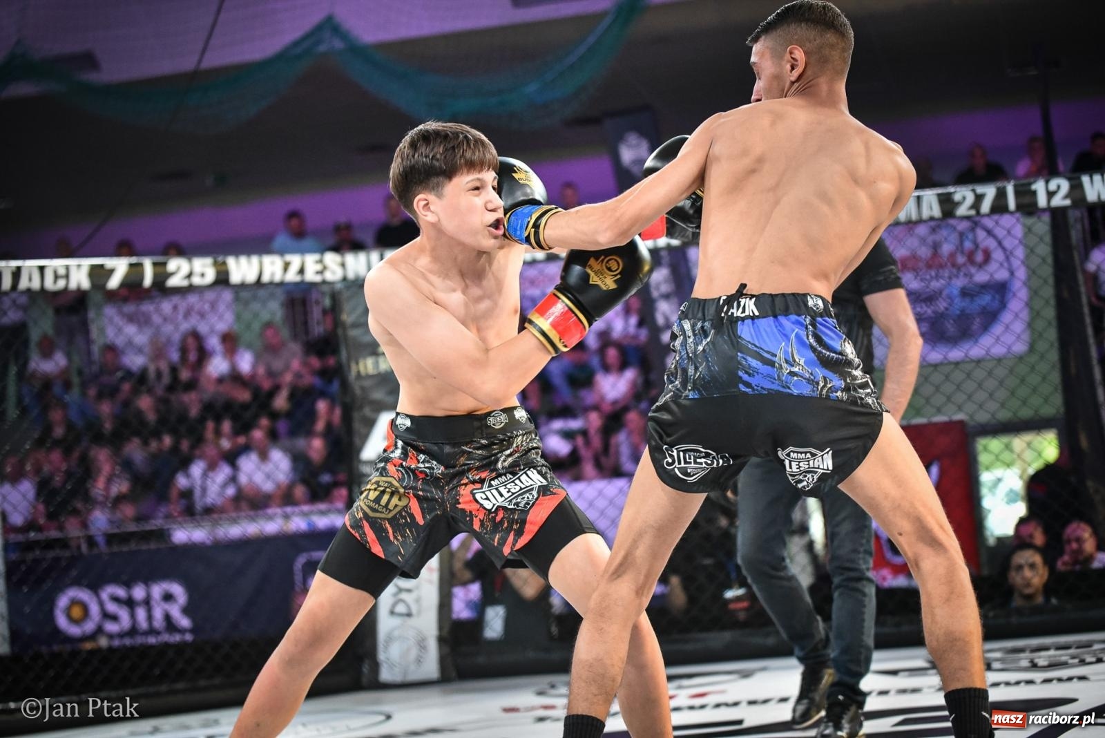 Zdjęcie w galerii na portalu naszraciborz.pl: Silesian MMA 26 i Walcz i Pomagaj 16 na BIS! Komplet publiczności i powrót dużej gali MMA do Raciborza wiadomości z regionu
