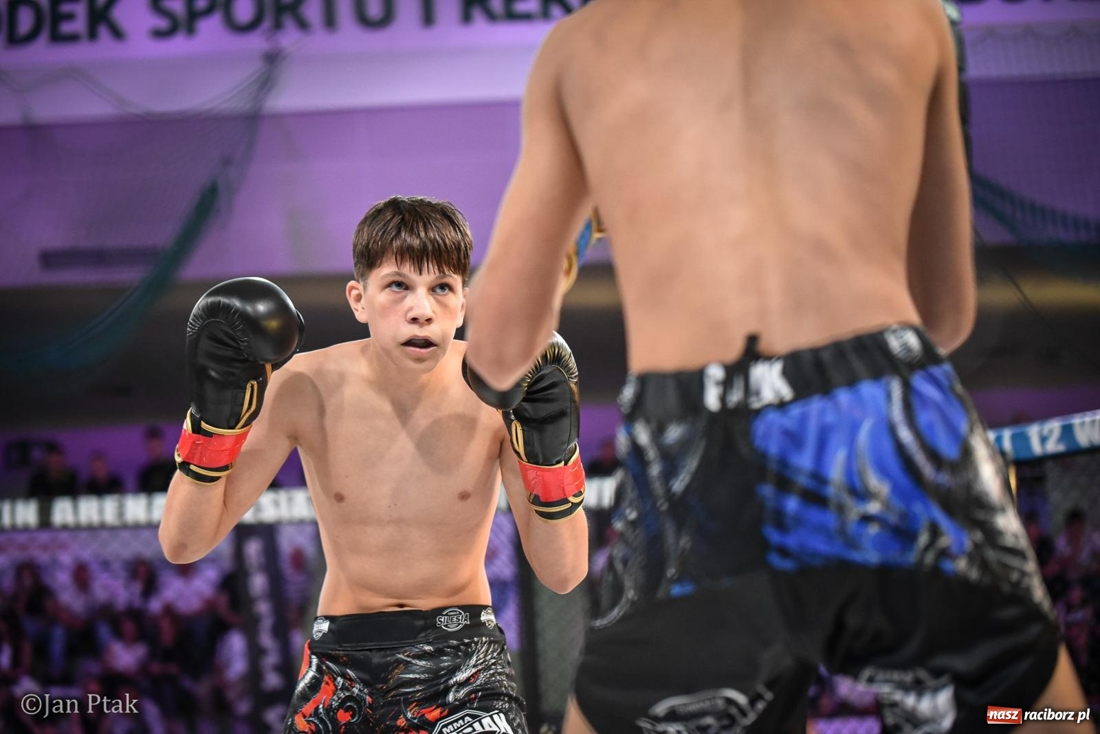 Zdjęcie w galerii na portalu naszraciborz.pl: Silesian MMA 26 i Walcz i Pomagaj 16 na BIS! Komplet publiczności i powrót dużej gali MMA do Raciborza wiadomości z regionu