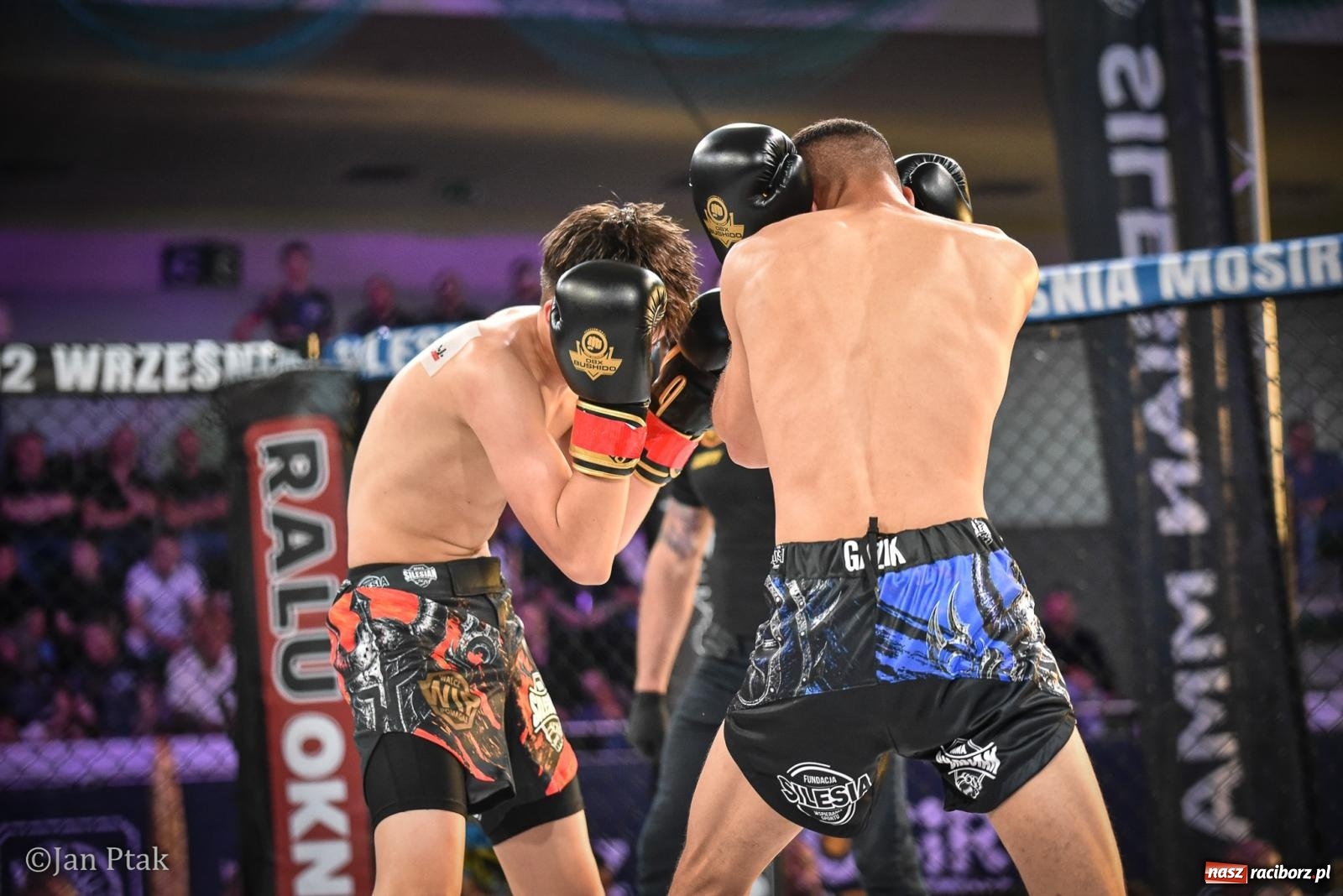 Zdjęcie w galerii na portalu naszraciborz.pl: Silesian MMA 26 i Walcz i Pomagaj 16 na BIS! Komplet publiczności i powrót dużej gali MMA do Raciborza wiadomości z regionu