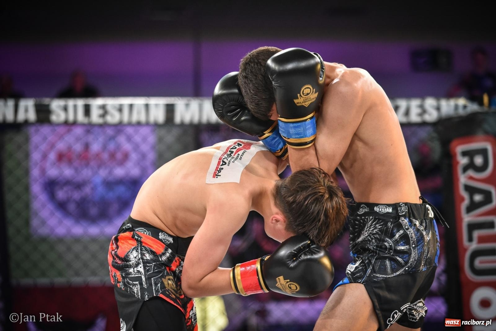 Zdjęcie w galerii na portalu naszraciborz.pl: Silesian MMA 26 i Walcz i Pomagaj 16 na BIS! Komplet publiczności i powrót dużej gali MMA do Raciborza wiadomości z regionu