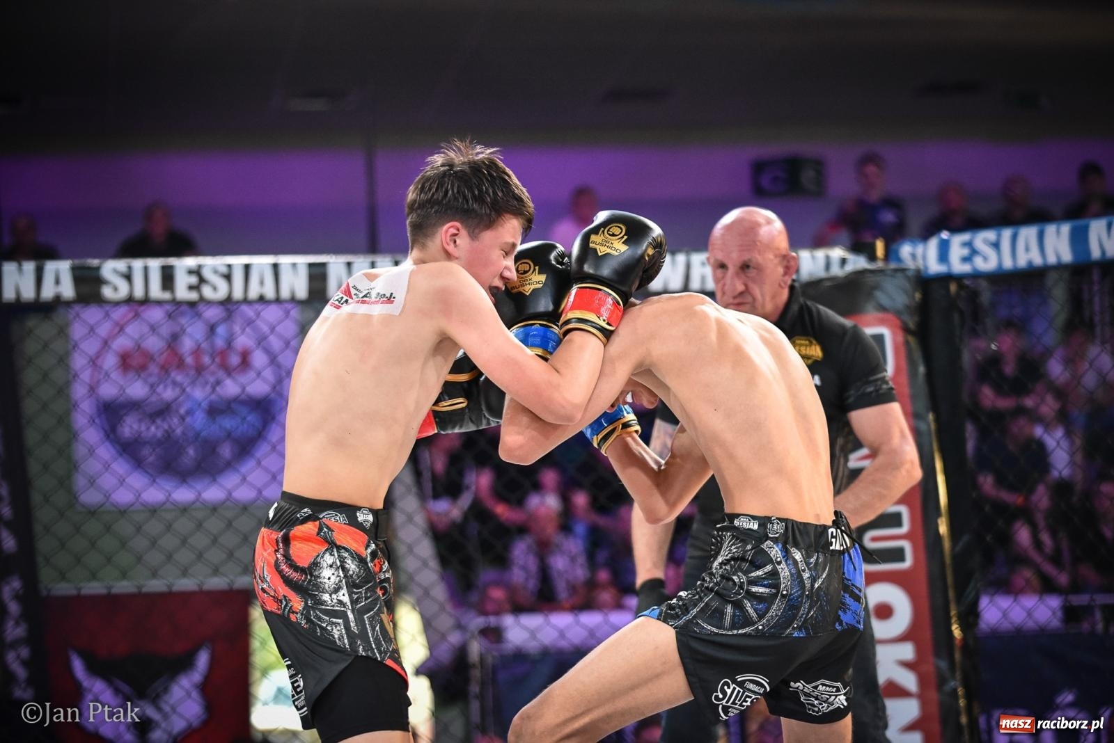 Zdjęcie w galerii na portalu naszraciborz.pl: Silesian MMA 26 i Walcz i Pomagaj 16 na BIS! Komplet publiczności i powrót dużej gali MMA do Raciborza wiadomości z regionu