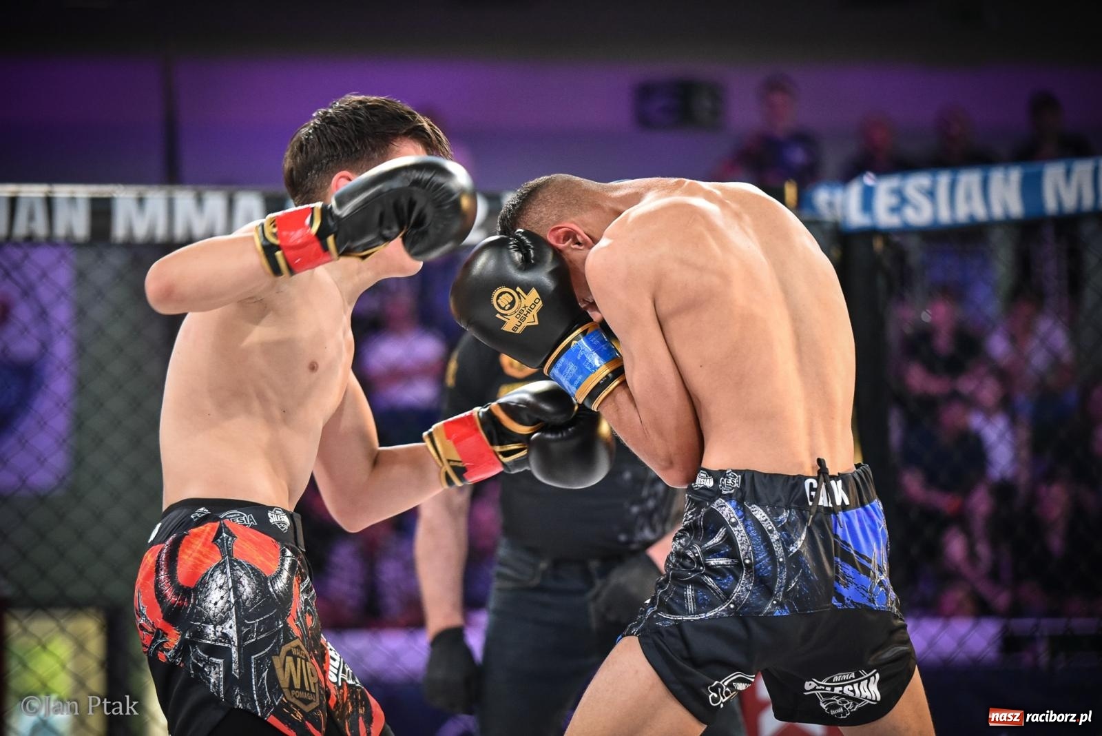 Zdjęcie w galerii na portalu naszraciborz.pl: Silesian MMA 26 i Walcz i Pomagaj 16 na BIS! Komplet publiczności i powrót dużej gali MMA do Raciborza wiadomości z regionu