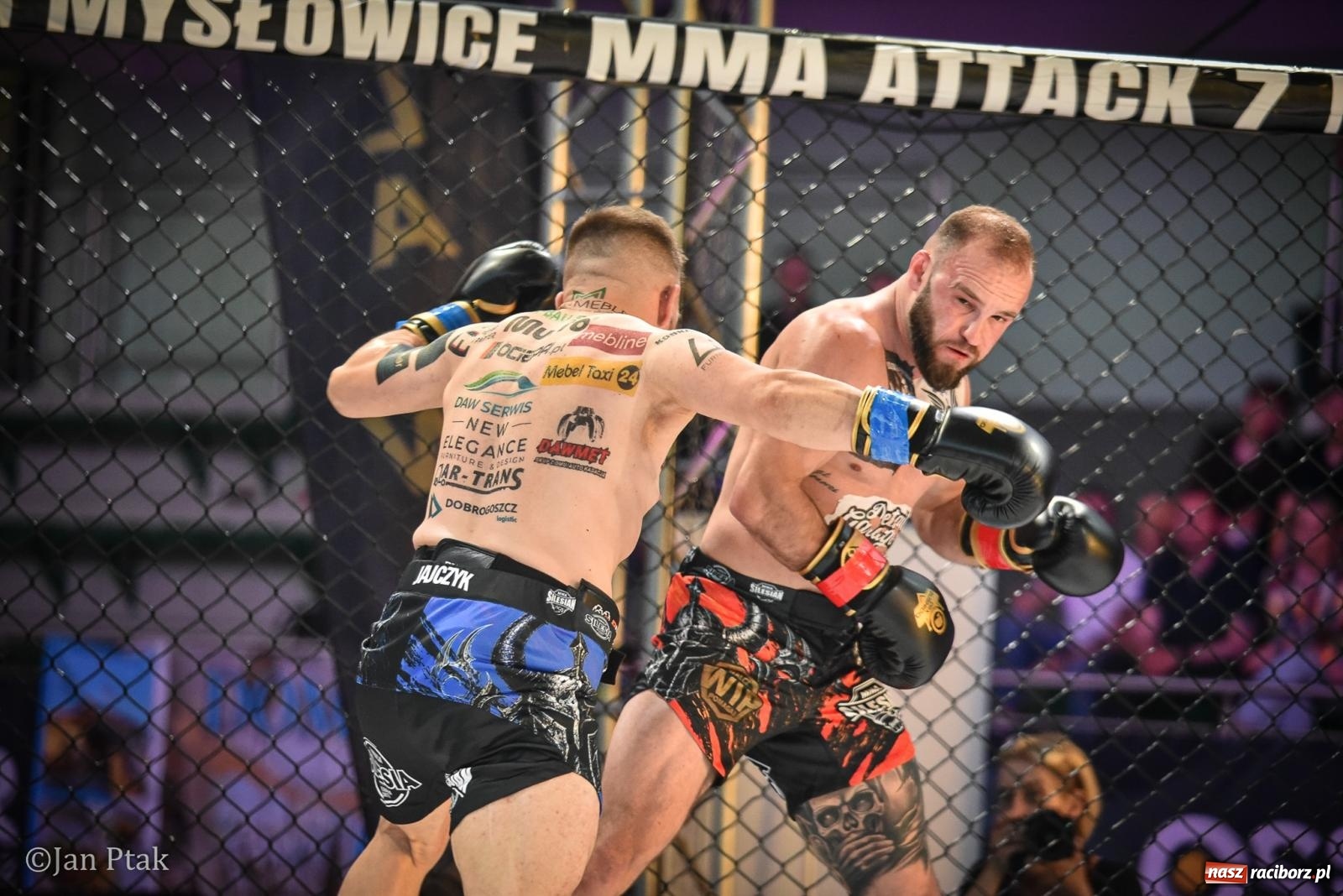 Zdjęcie w galerii na portalu naszraciborz.pl: Silesian MMA 26 i Walcz i Pomagaj 16 na BIS! Komplet publiczności i powrót dużej gali MMA do Raciborza wiadomości z regionu