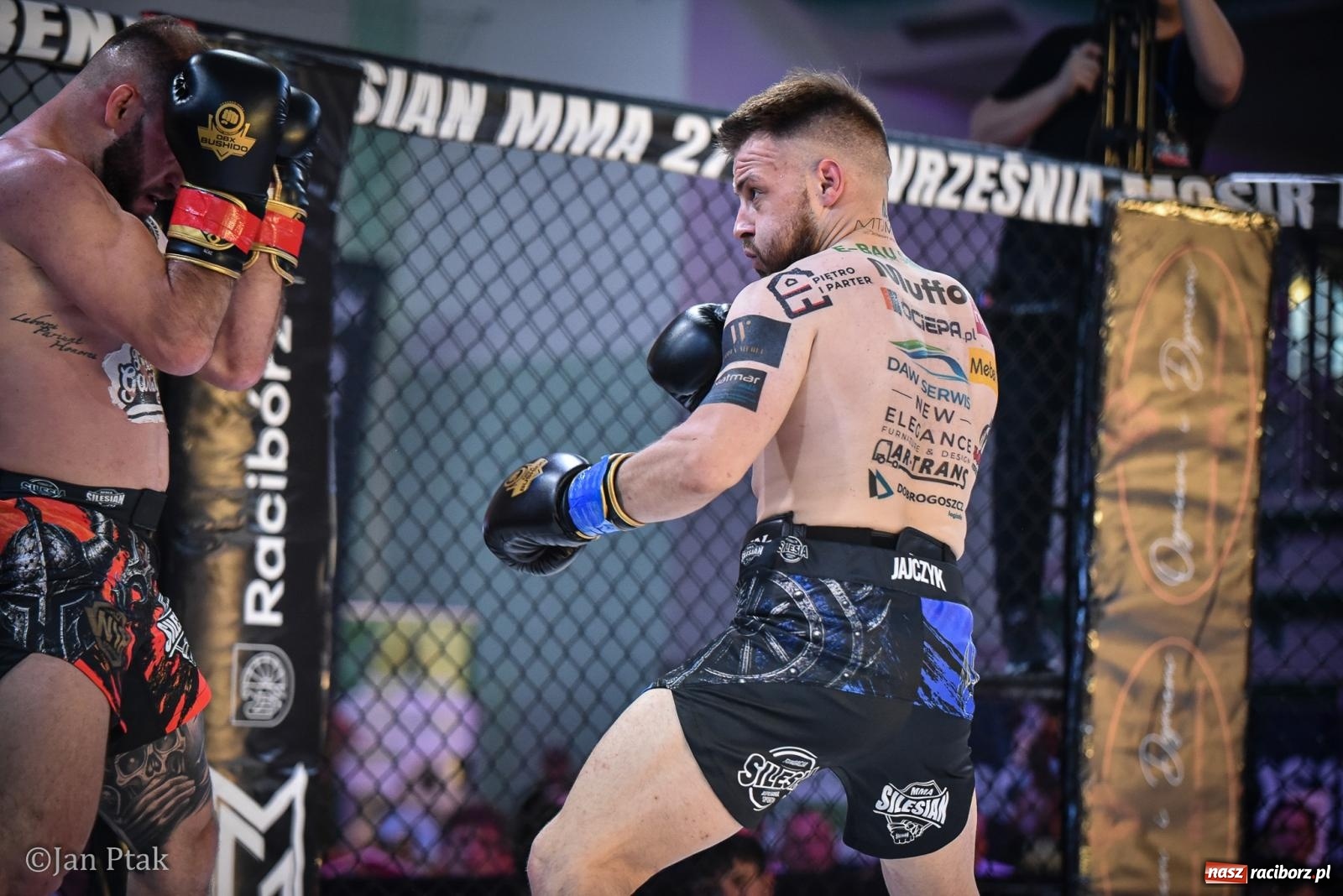 Zdjęcie w galerii na portalu naszraciborz.pl: Silesian MMA 26 i Walcz i Pomagaj 16 na BIS! Komplet publiczności i powrót dużej gali MMA do Raciborza wiadomości z regionu