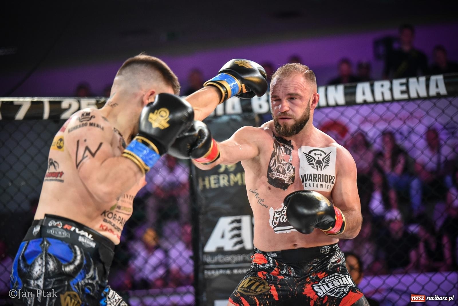 Zdjęcie w galerii na portalu naszraciborz.pl: Silesian MMA 26 i Walcz i Pomagaj 16 na BIS! Komplet publiczności i powrót dużej gali MMA do Raciborza wiadomości z regionu