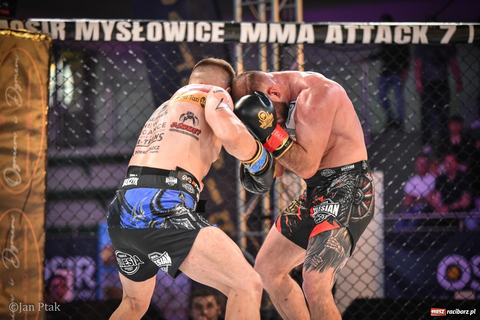 Zdjęcie w galerii na portalu naszraciborz.pl: Silesian MMA 26 i Walcz i Pomagaj 16 na BIS! Komplet publiczności i powrót dużej gali MMA do Raciborza wiadomości z regionu