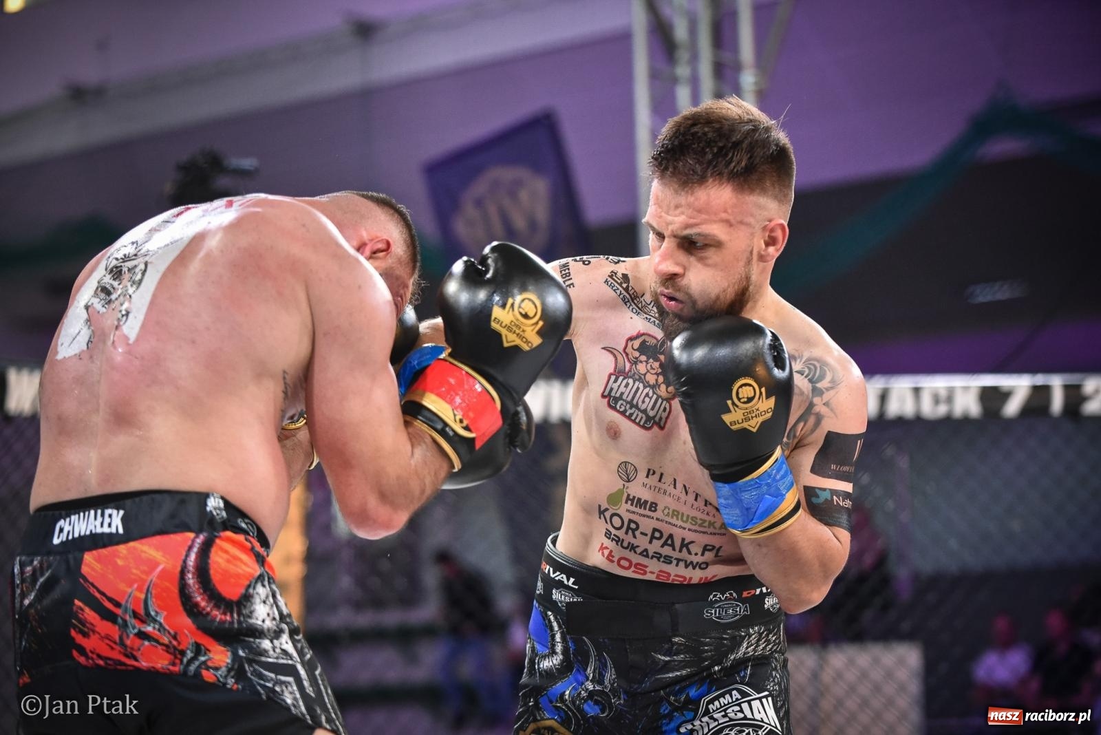 Zdjęcie w galerii na portalu naszraciborz.pl: Silesian MMA 26 i Walcz i Pomagaj 16 na BIS! Komplet publiczności i powrót dużej gali MMA do Raciborza wiadomości z regionu