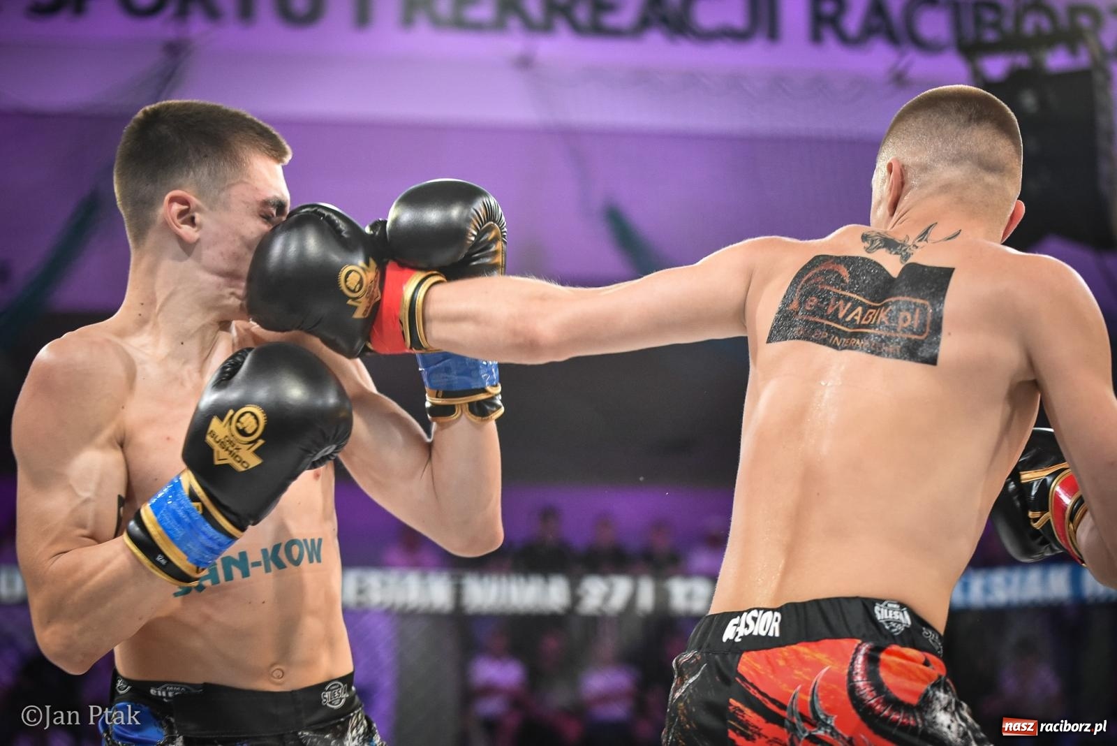 Zdjęcie w galerii na portalu naszraciborz.pl: Silesian MMA 26 i Walcz i Pomagaj 16 na BIS! Komplet publiczności i powrót dużej gali MMA do Raciborza wiadomości z regionu