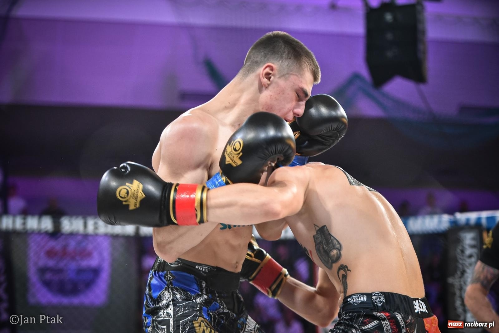 Zdjęcie w galerii na portalu naszraciborz.pl: Silesian MMA 26 i Walcz i Pomagaj 16 na BIS! Komplet publiczności i powrót dużej gali MMA do Raciborza wiadomości z regionu