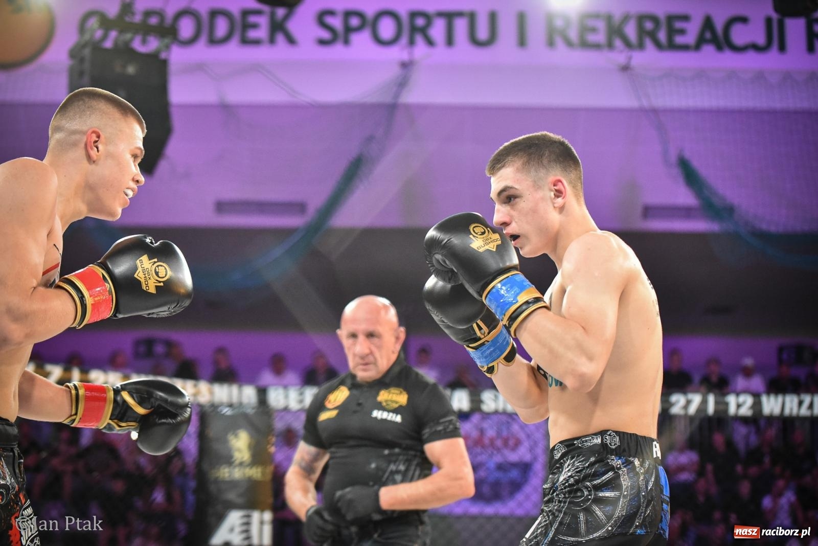 Zdjęcie w galerii na portalu naszraciborz.pl: Silesian MMA 26 i Walcz i Pomagaj 16 na BIS! Komplet publiczności i powrót dużej gali MMA do Raciborza wiadomości z regionu