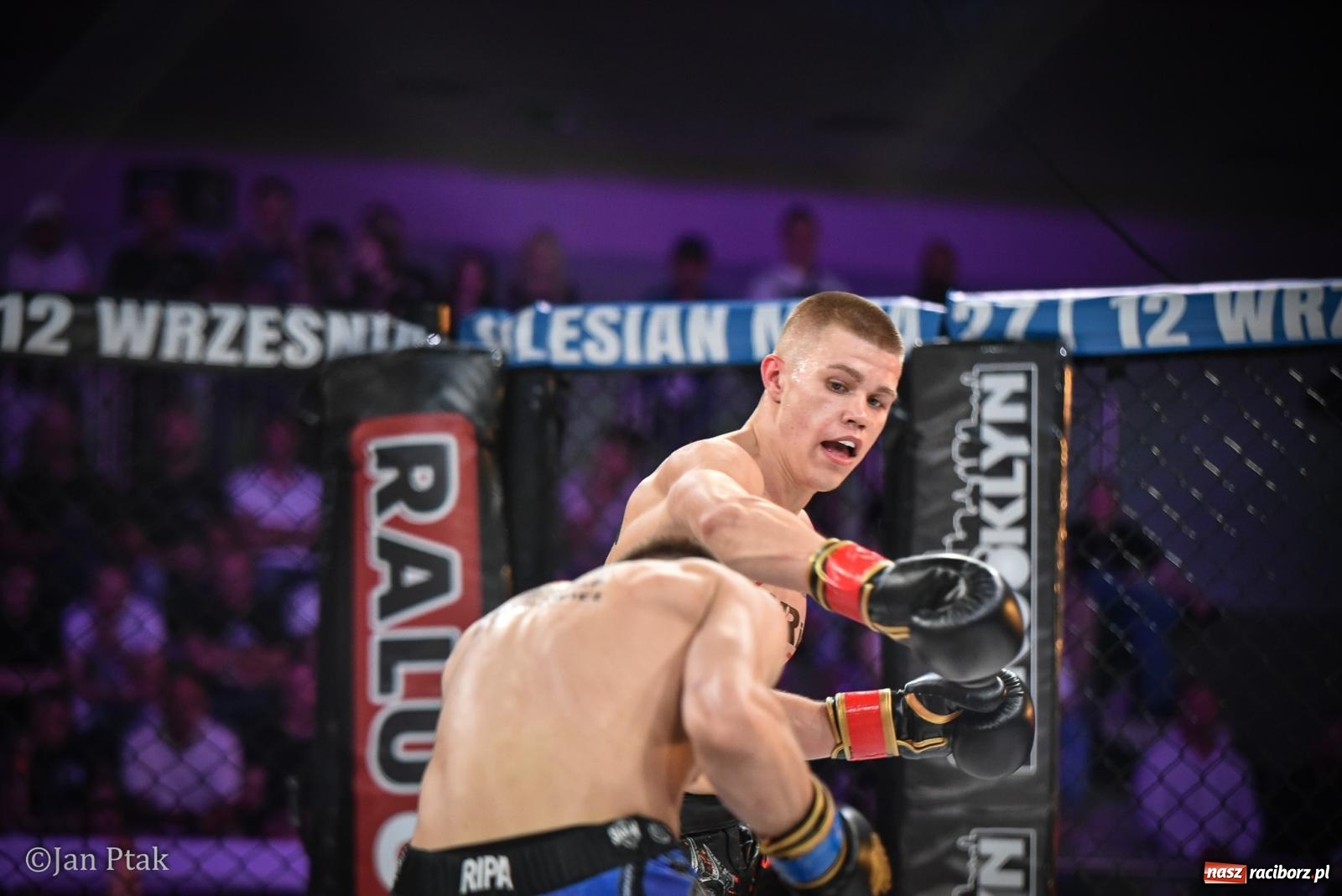 Zdjęcie w galerii na portalu naszraciborz.pl: Silesian MMA 26 i Walcz i Pomagaj 16 na BIS! Komplet publiczności i powrót dużej gali MMA do Raciborza wiadomości z regionu