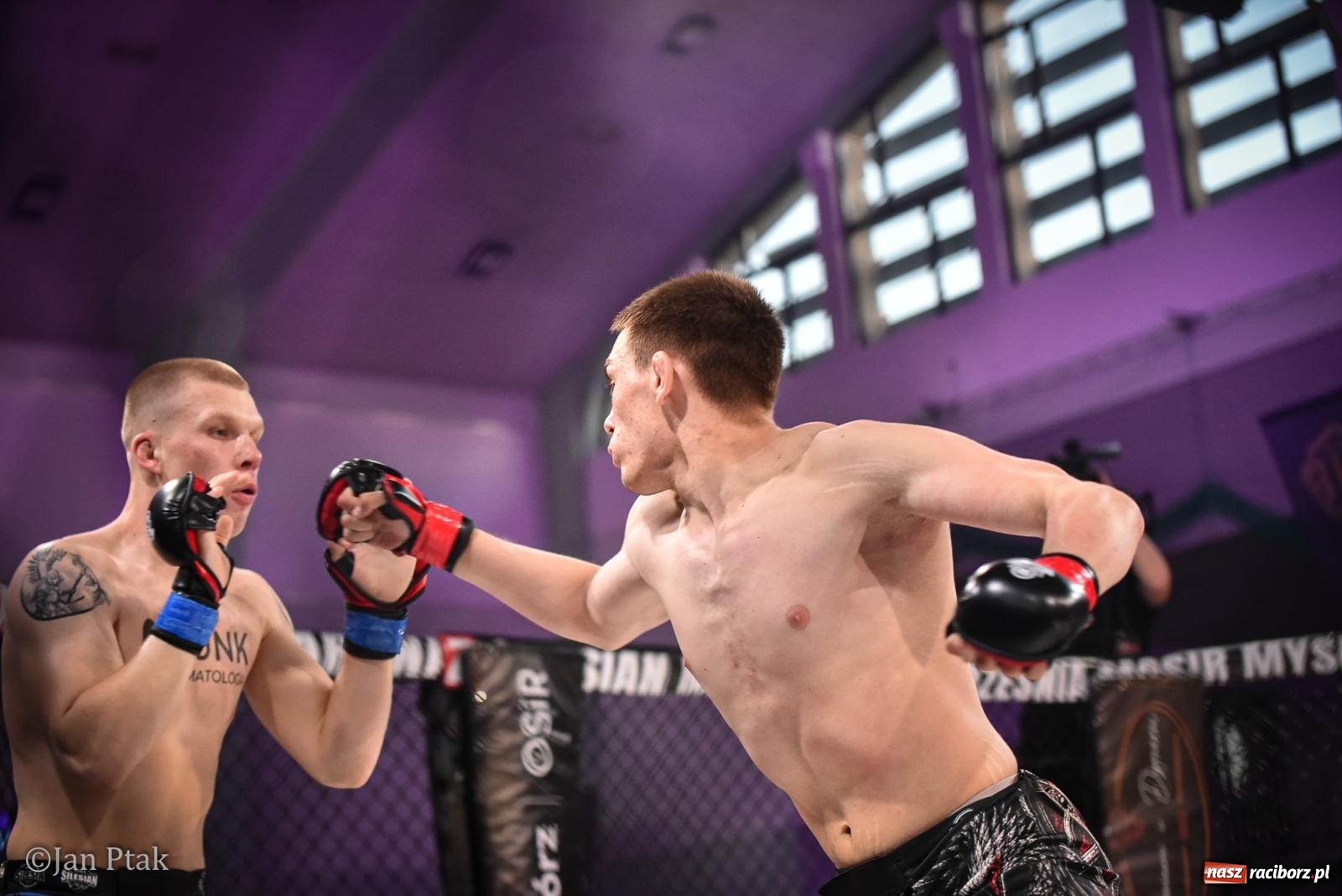Zdjęcie w galerii na portalu naszraciborz.pl: Silesian MMA 26 i Walcz i Pomagaj 16 na BIS! Komplet publiczności i powrót dużej gali MMA do Raciborza wiadomości z regionu