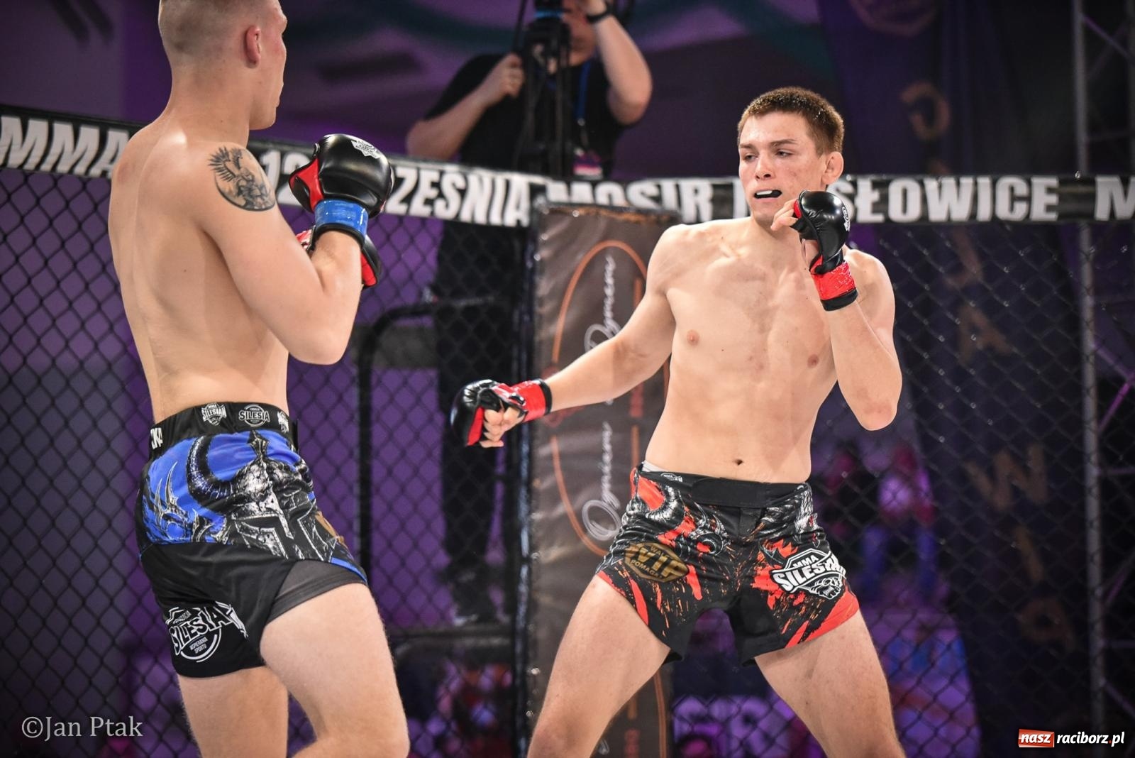 Zdjęcie w galerii na portalu naszraciborz.pl: Silesian MMA 26 i Walcz i Pomagaj 16 na BIS! Komplet publiczności i powrót dużej gali MMA do Raciborza wiadomości z regionu