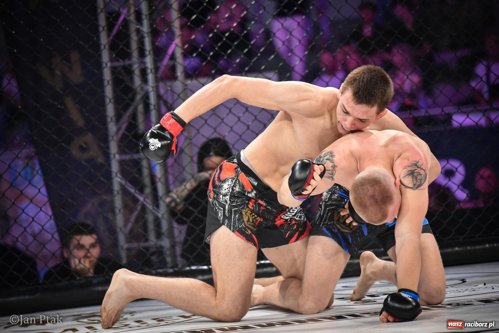 Zdjęcie w galerii na portalu naszraciborz.pl: Silesian MMA 26 i Walcz i Pomagaj 16 na BIS! Komplet publiczności i powrót dużej gali MMA do Raciborza wiadomości z regionu